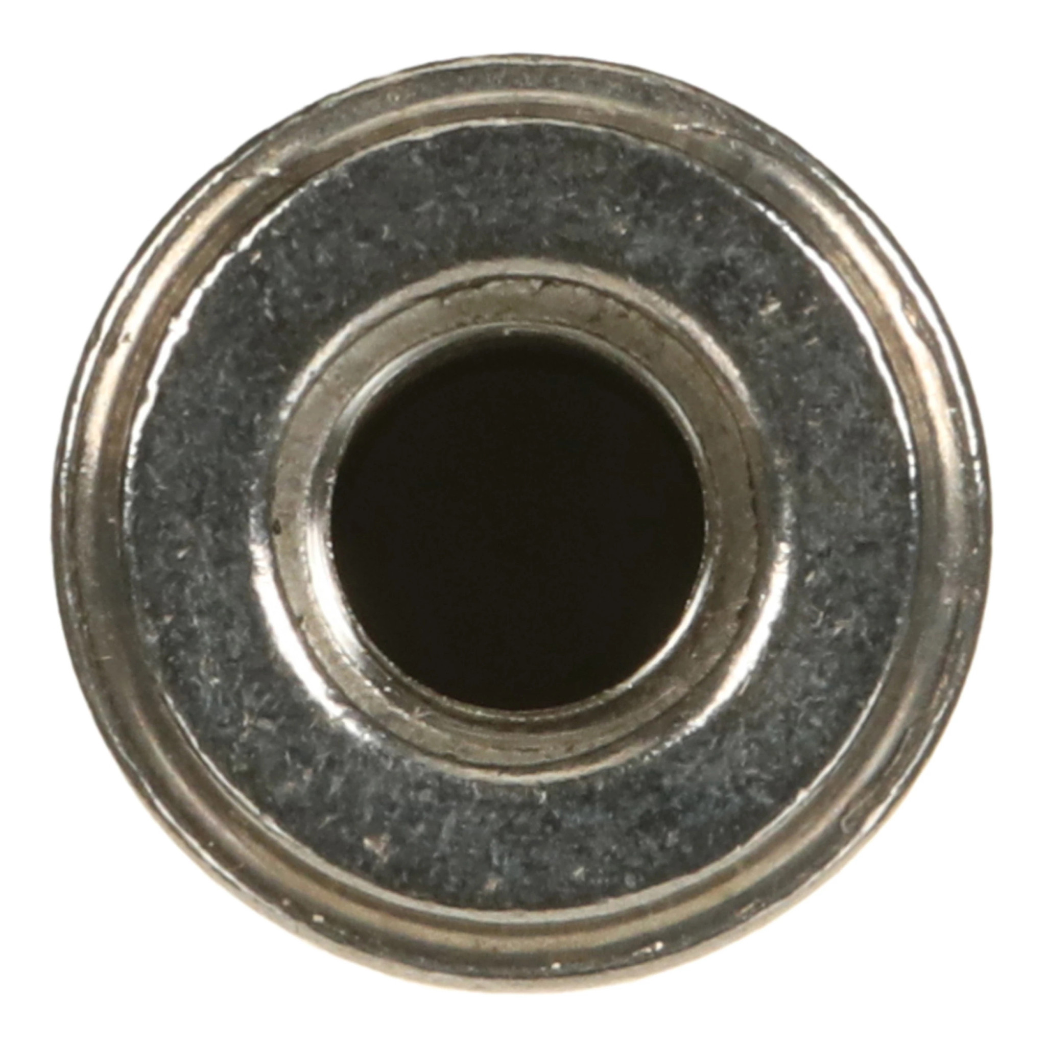 NUT | CASECE | US | EN