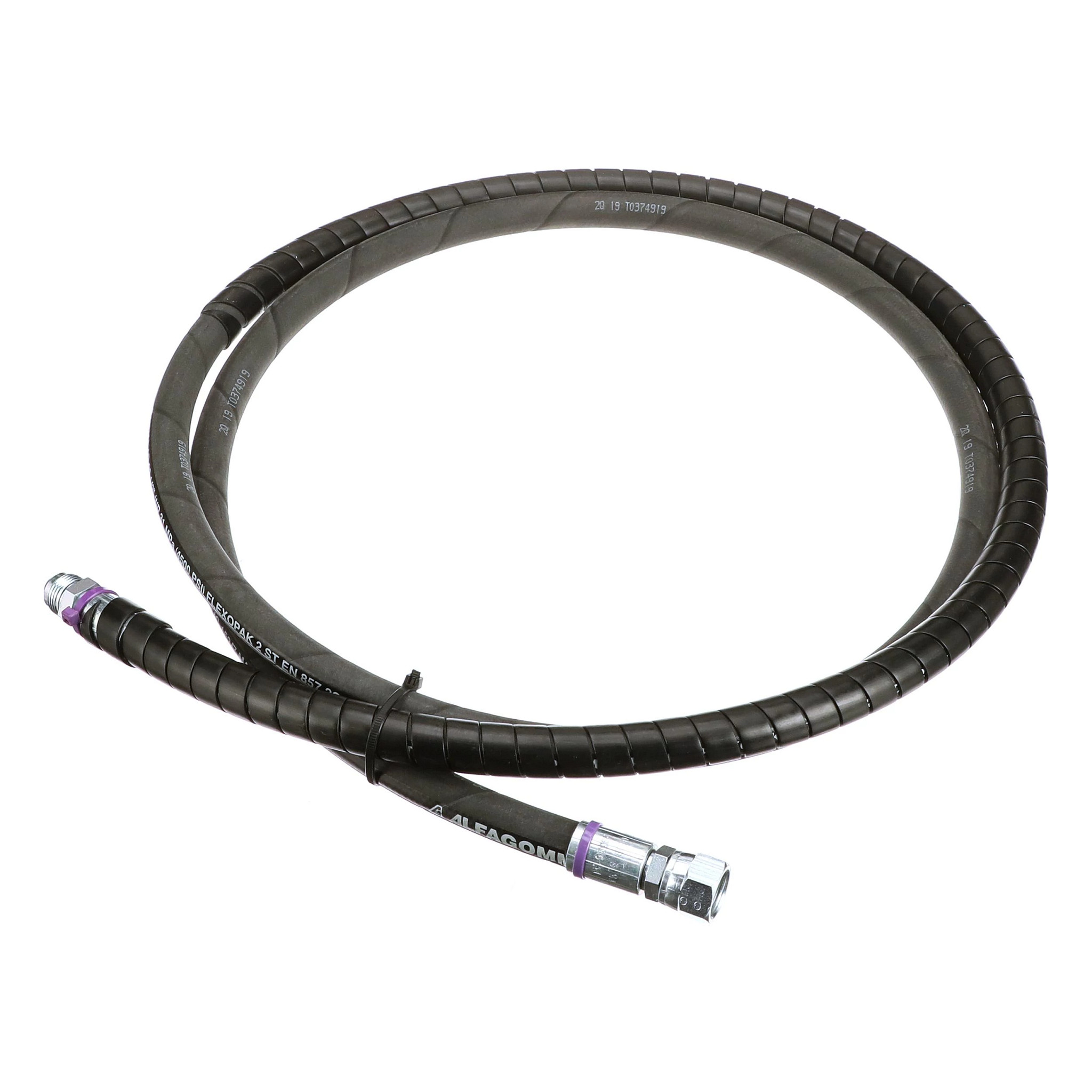 MANGUEIRA | CASECE | SA | PT