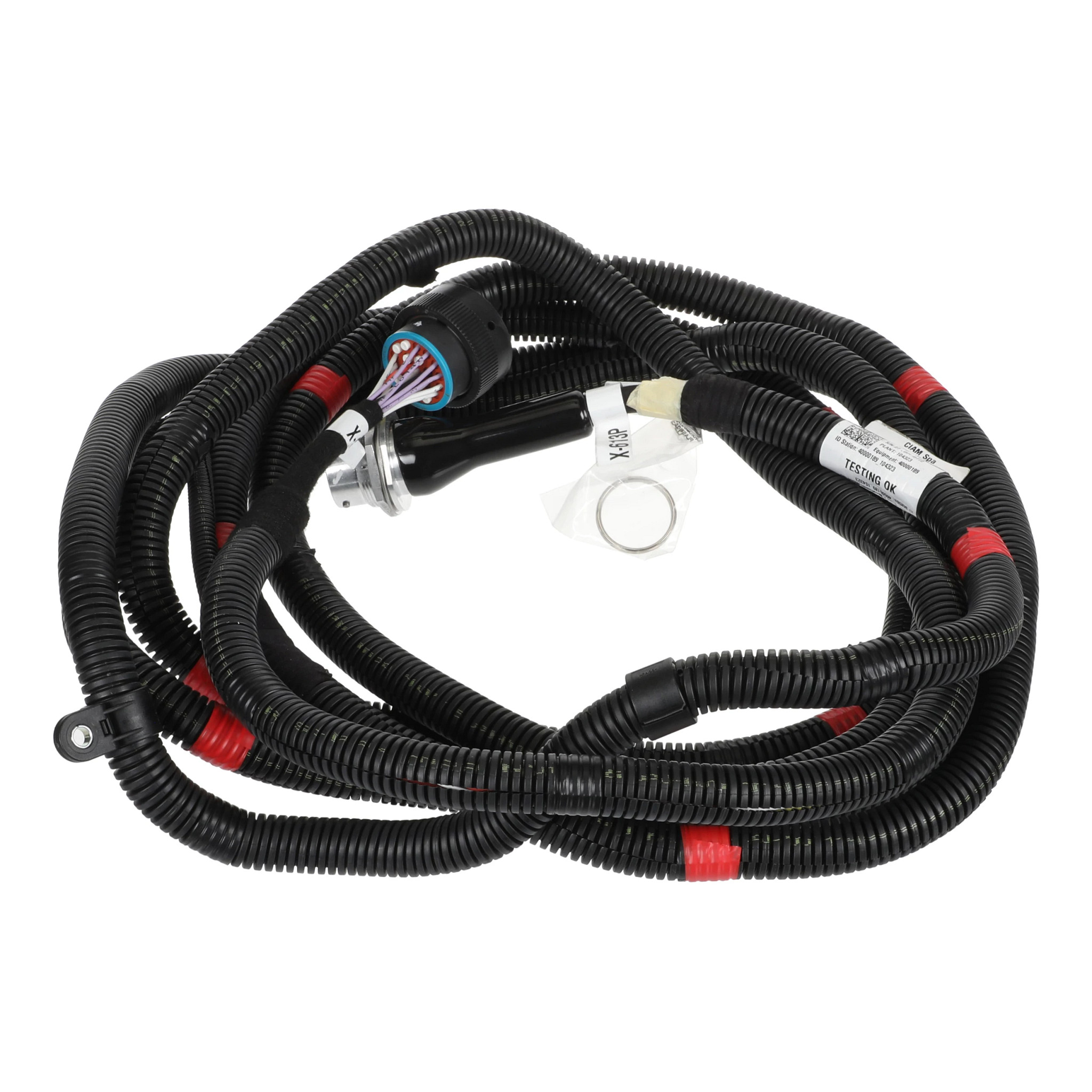 WIRE HARNESS | CASECE | AMEA | EN