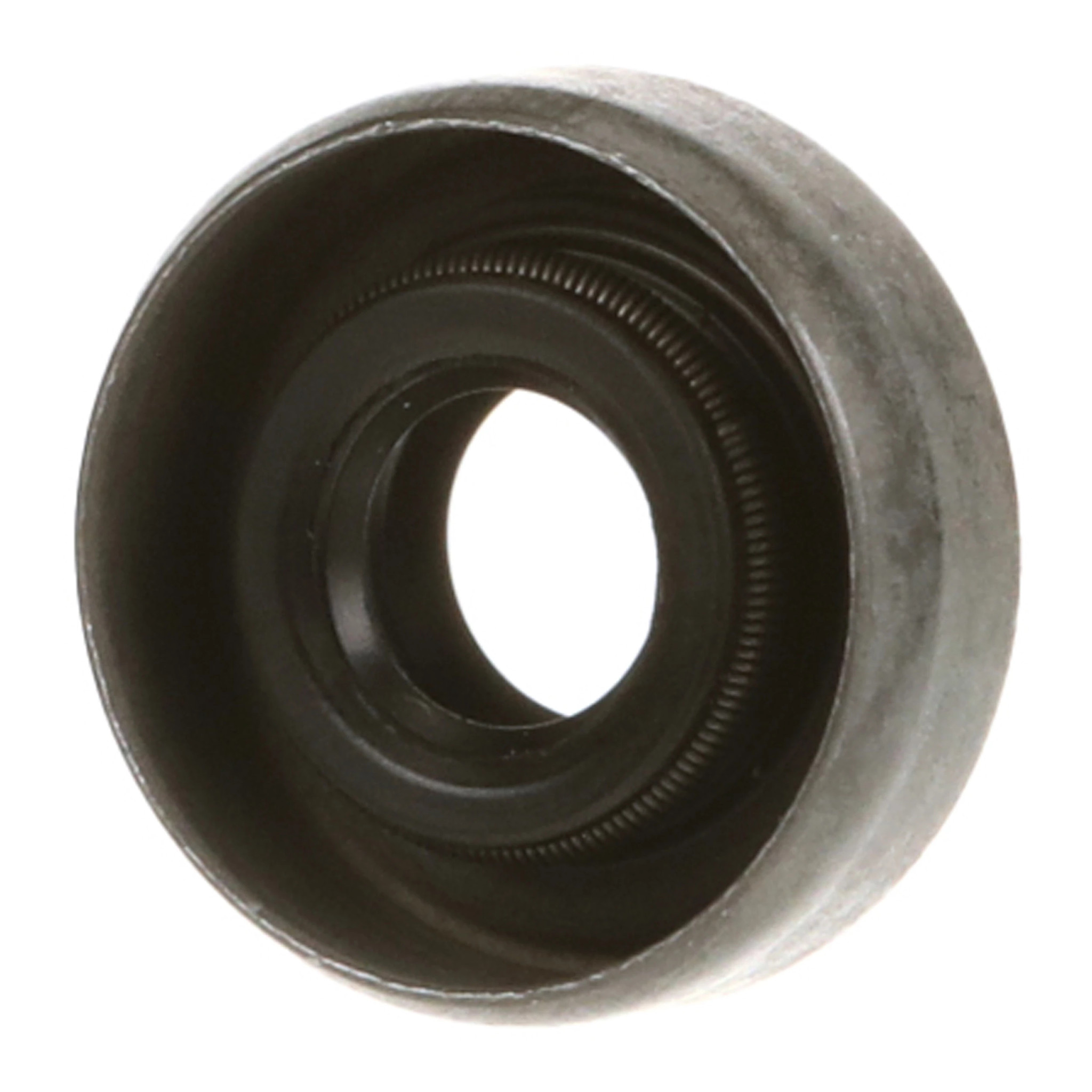 SEAL | CASECE | EU | EN