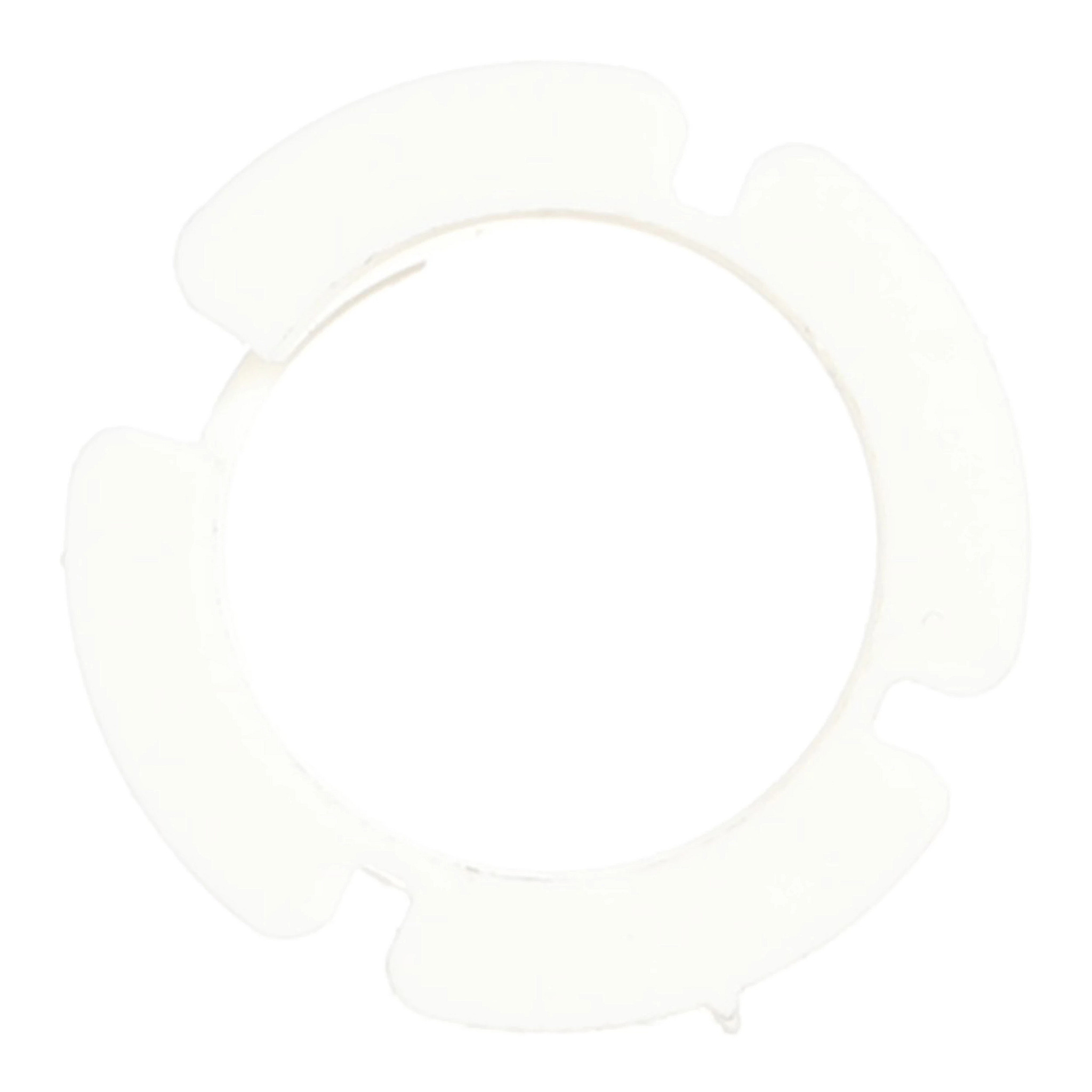 PLASTIC RING | CASEIH | AMEA | EN