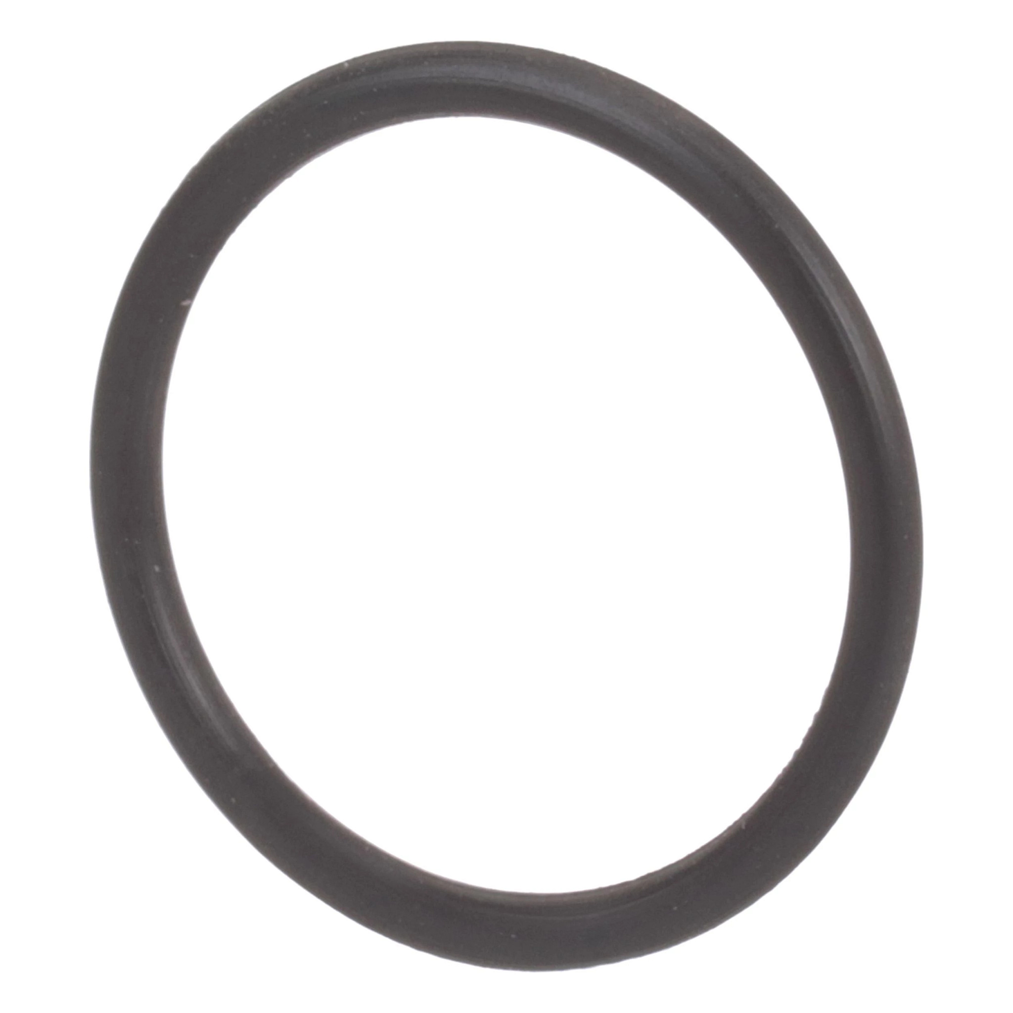 O-RING | CASEIH | AMEA | EN