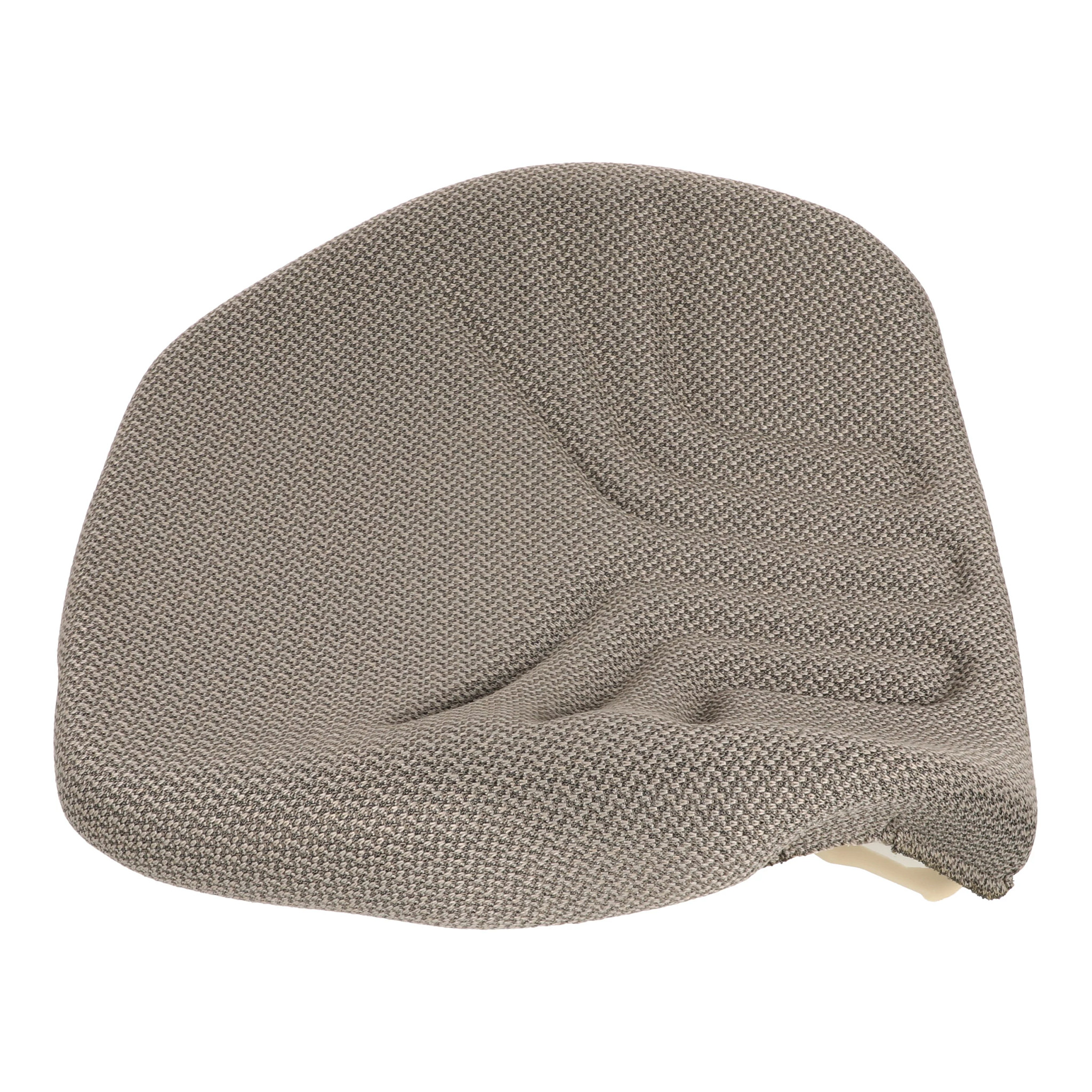 SEAT BACK | CASEIH | CA | EN