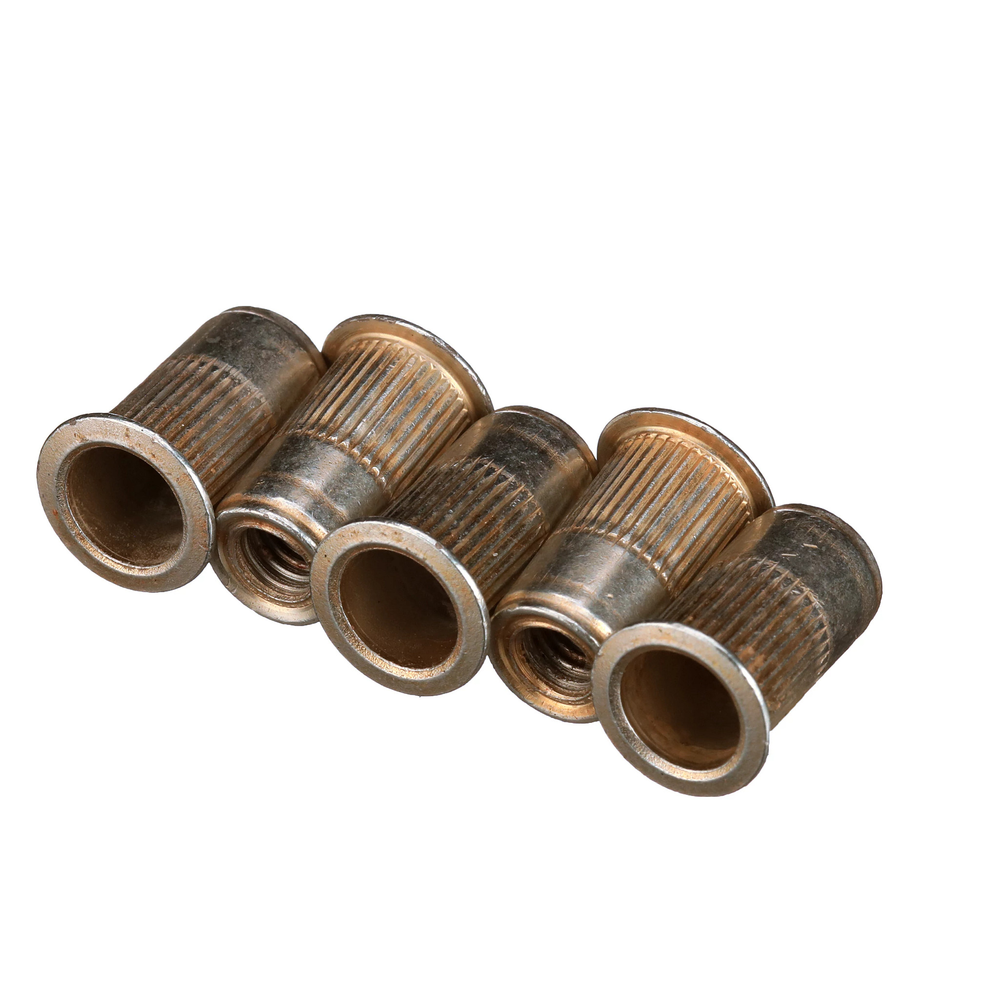 PORCA | CASECE | BR | PT