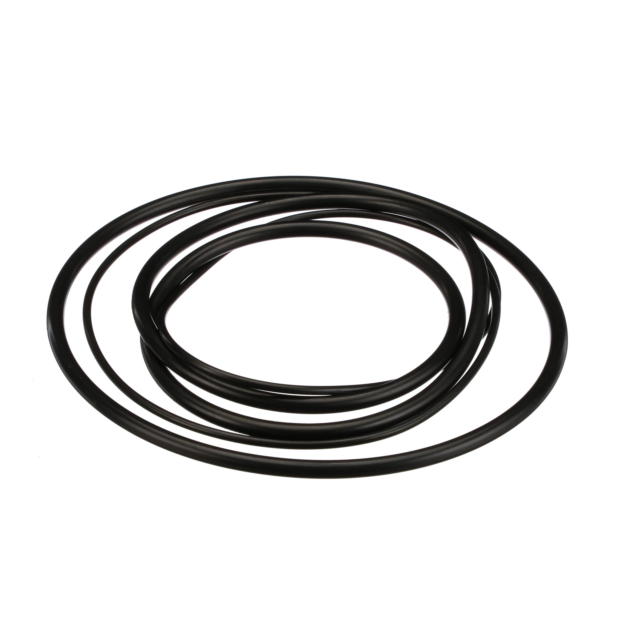 Conjunto de anel O Ring | CASEIH | BR | PT