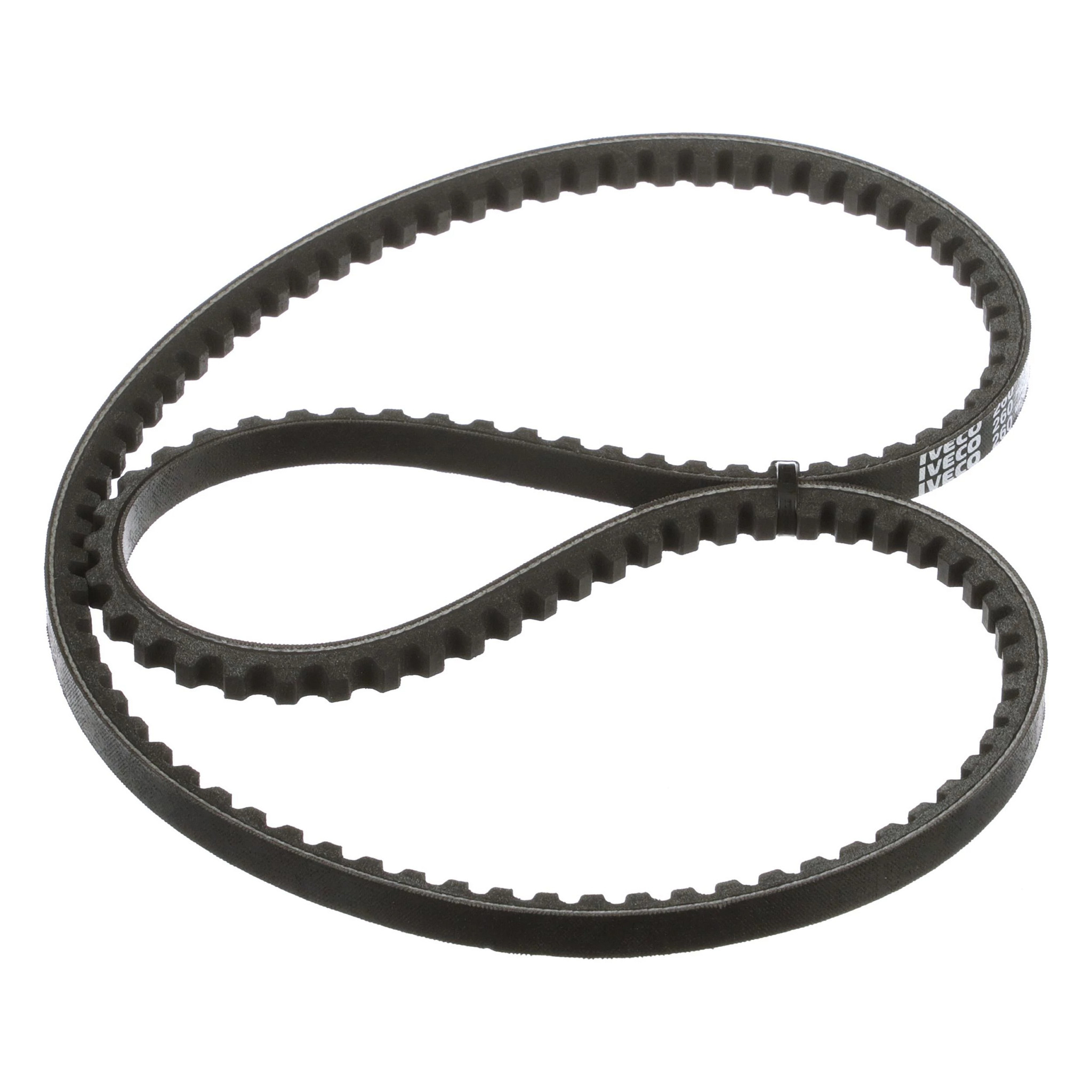 BELT | CASECE | EU | EN