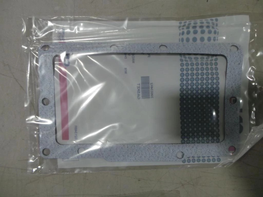 DICHTUNG | CASEIH | AT | DE