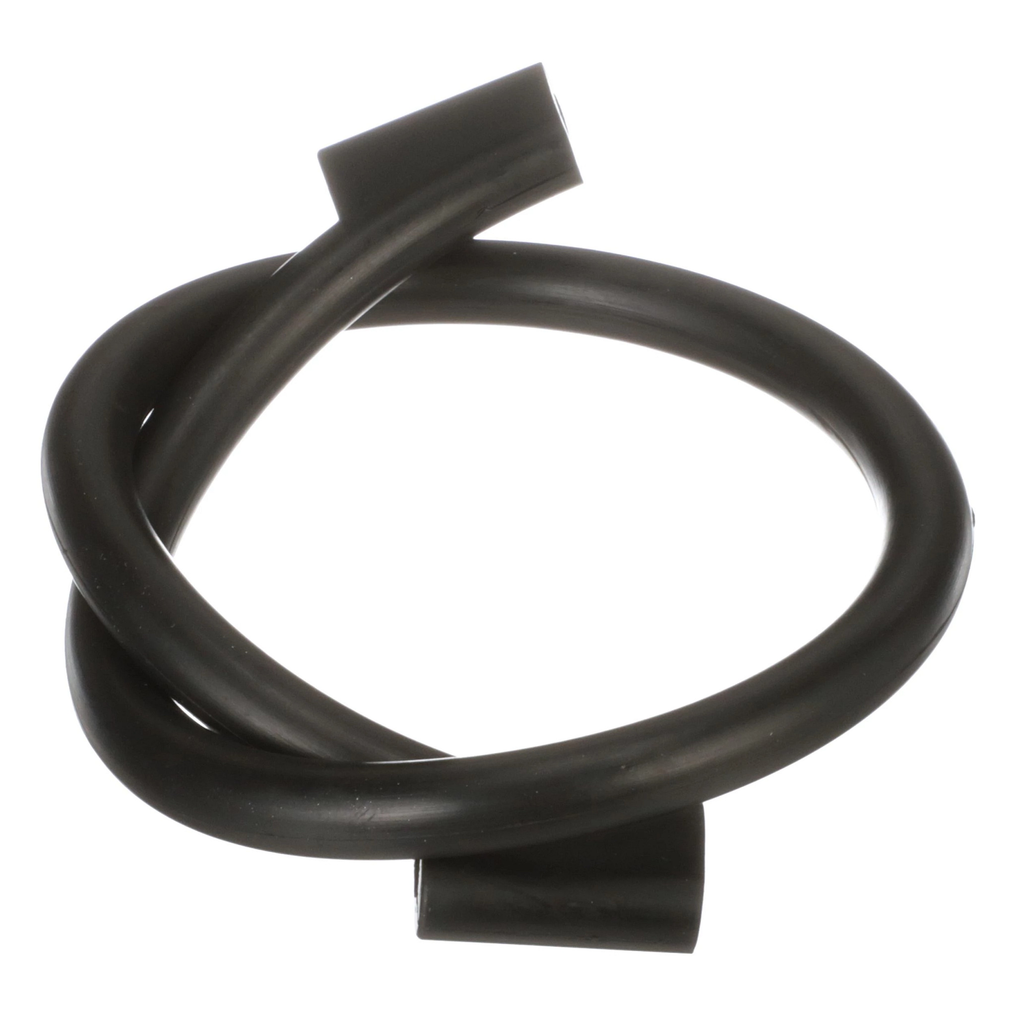 JUNTA TÓRICA | CASECE | EU | ES