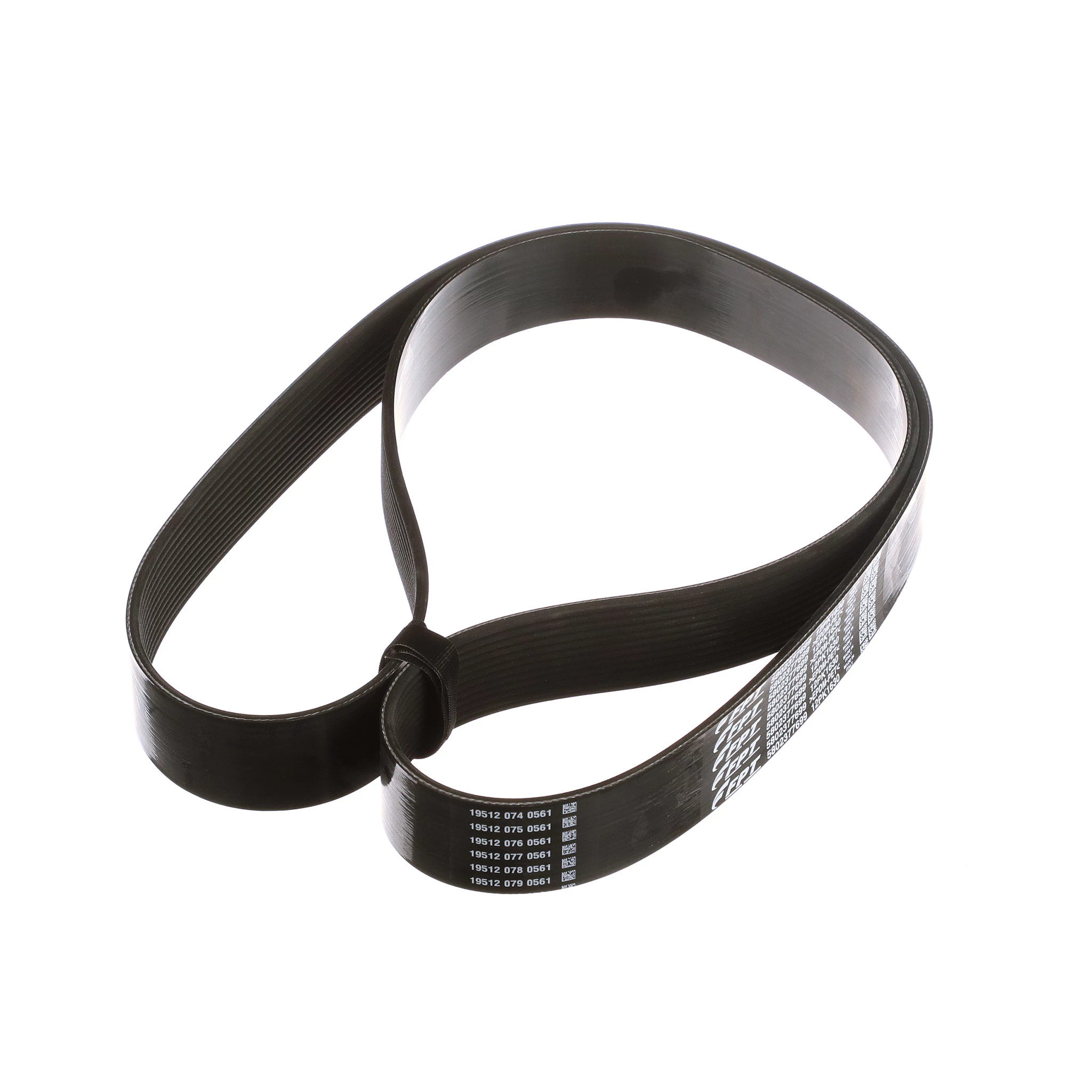 Correia do alternador | CASEIH | BR | PT