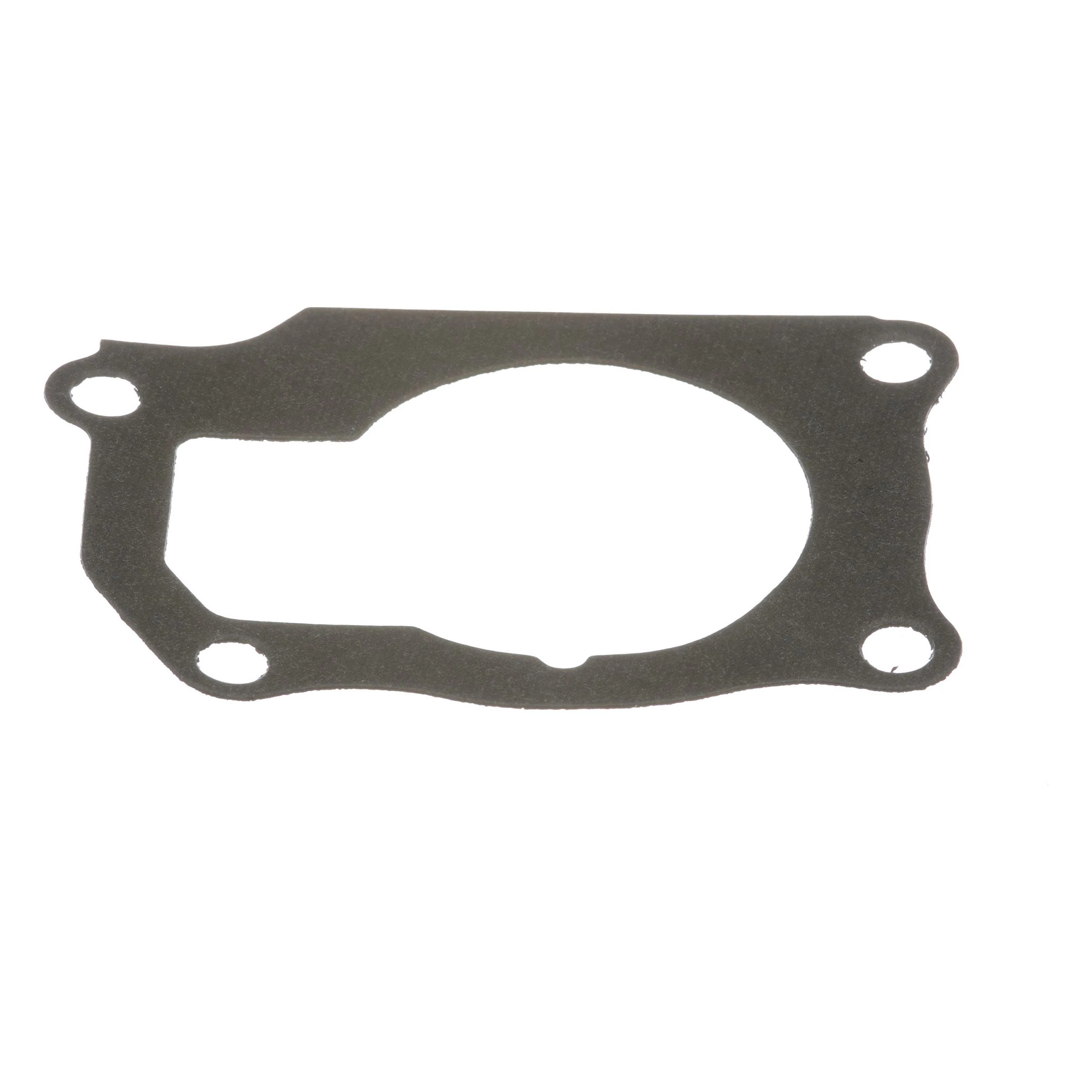 GASKET | CASECE | AMEA | EN