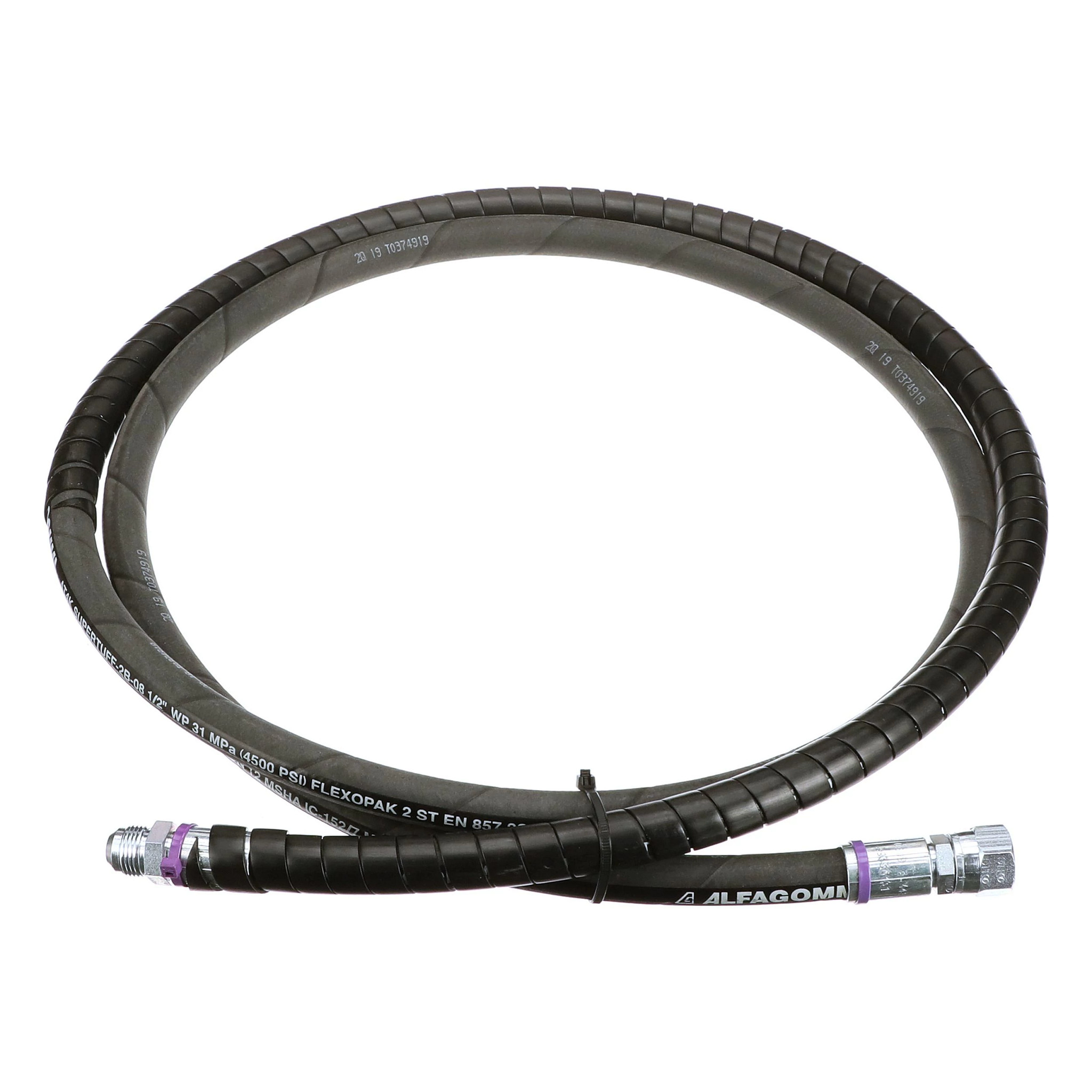 MANGUEIRA | CASECE | SA | PT