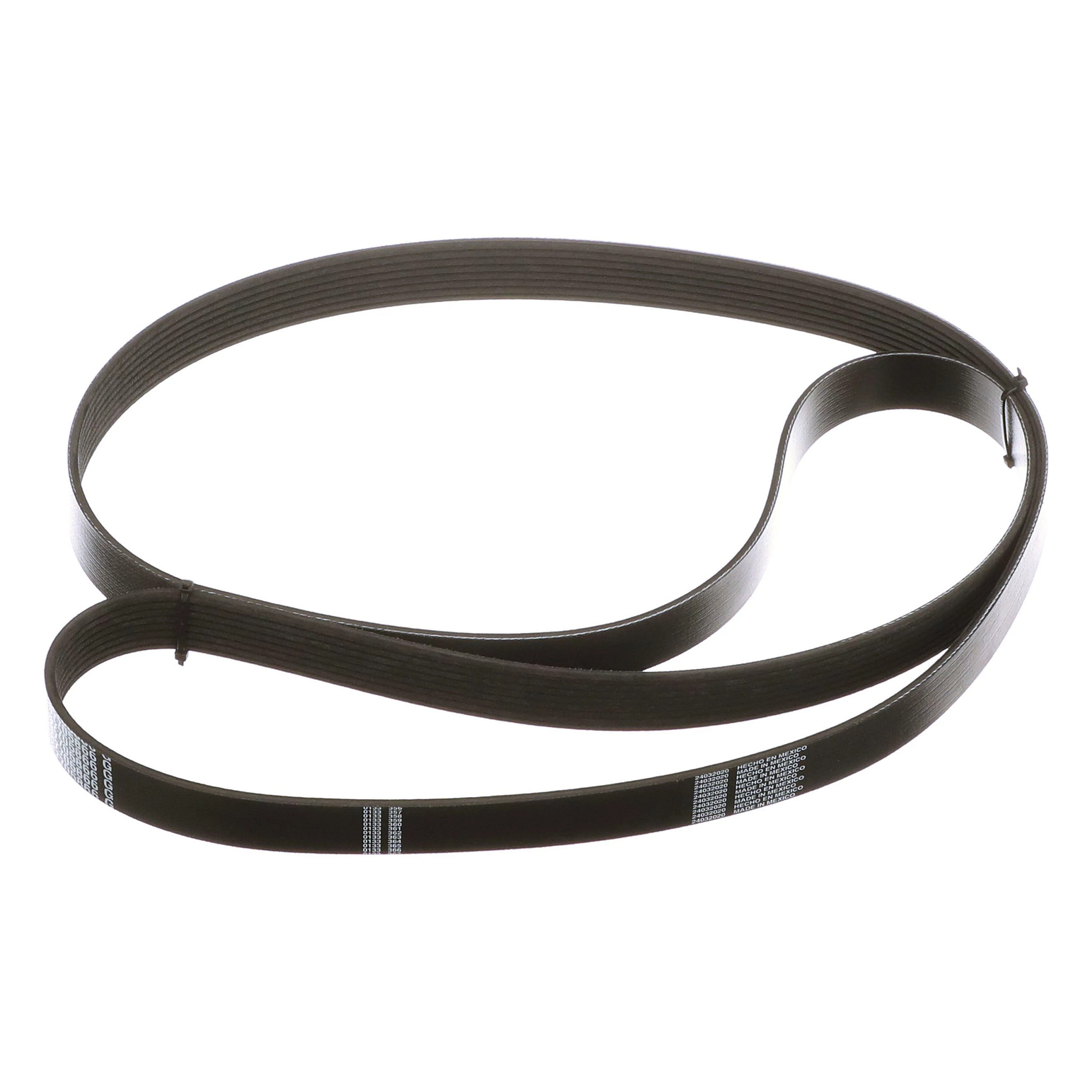 BELT | CASECE | US | EN