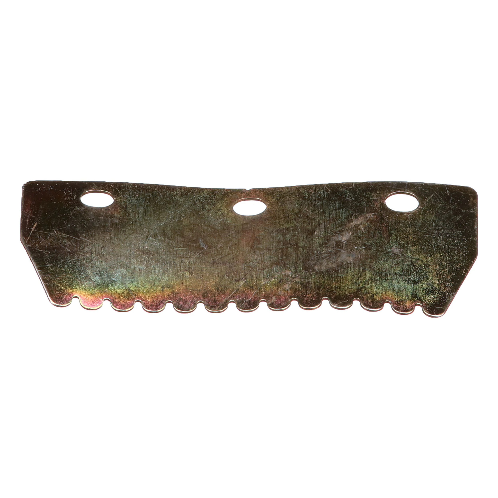 STRIP | CASECE | AMEA | EN