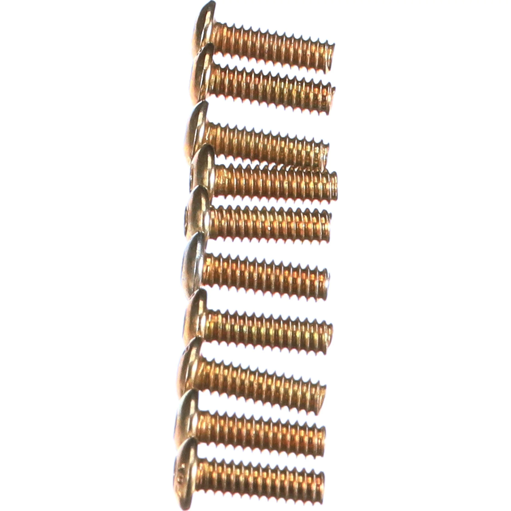 SCREW | CASECE | AMEA | EN