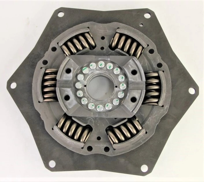 Reman Torsional Damper | CASEIH | US | EN