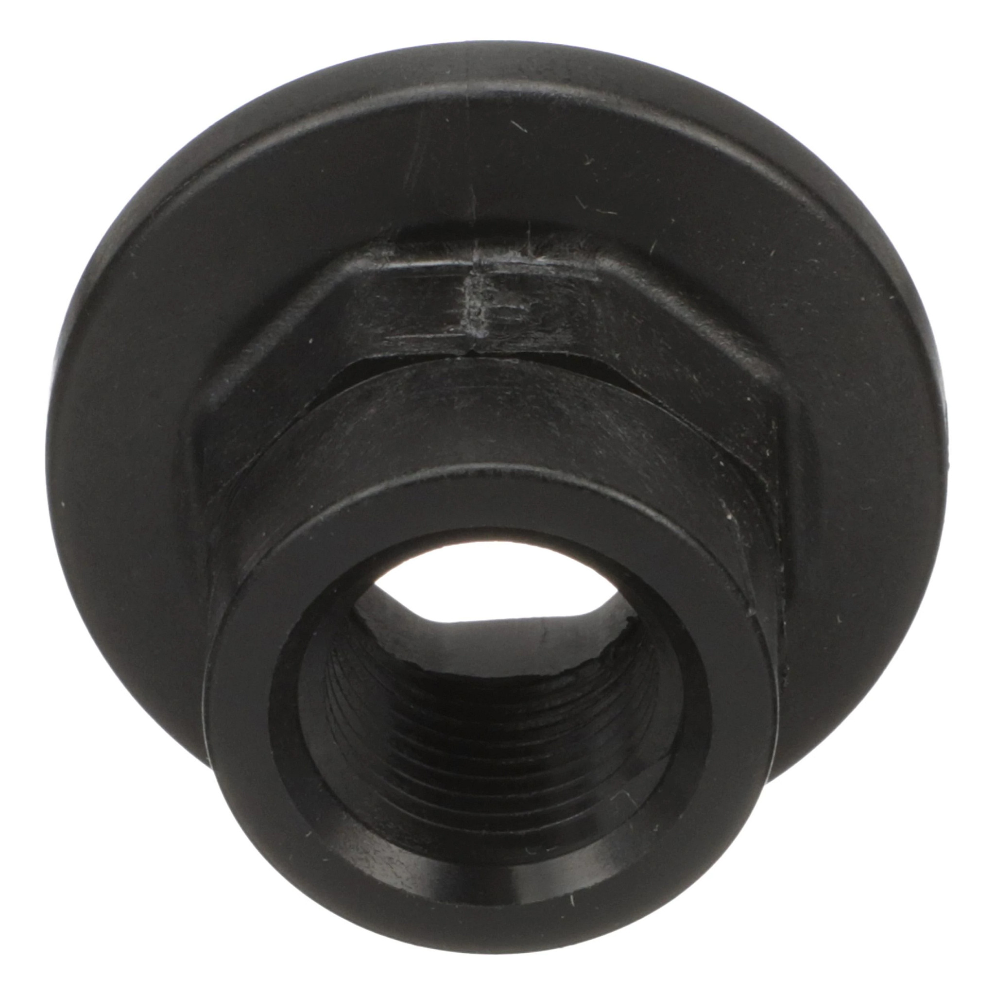 PLUG | CASECE | EU | EN