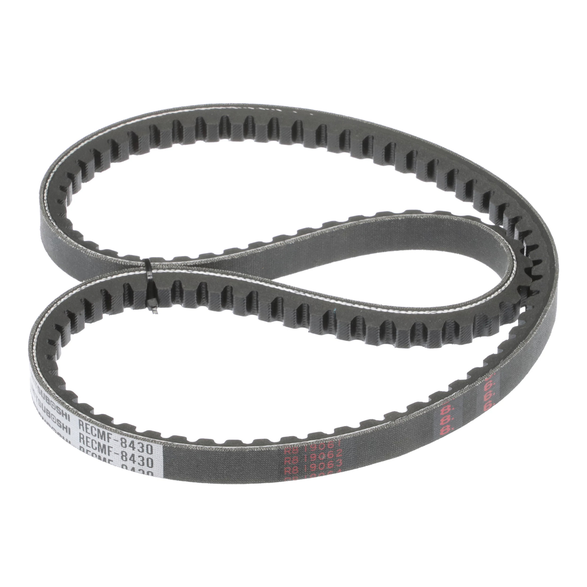 BELT | CASECE | AMEA | EN