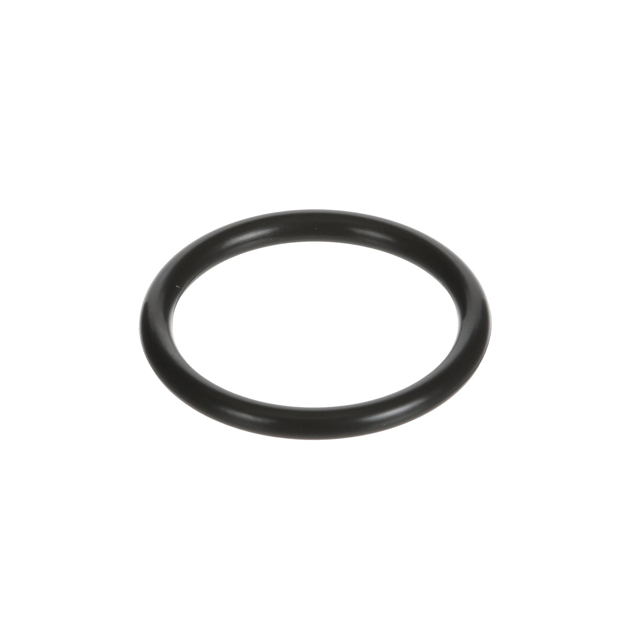 O-RING | CASECE | BR | PT