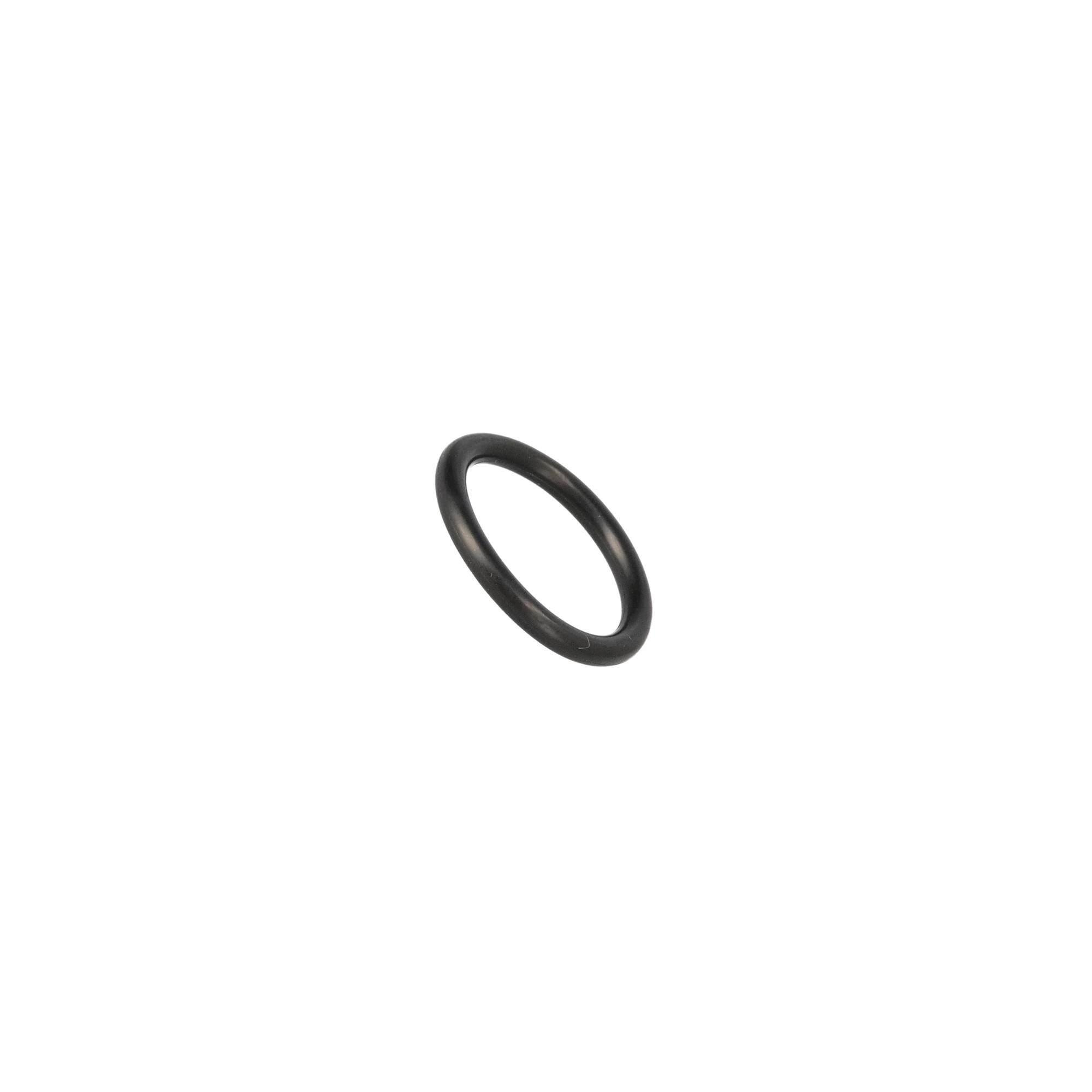 O-RING | CASECE | US | EN