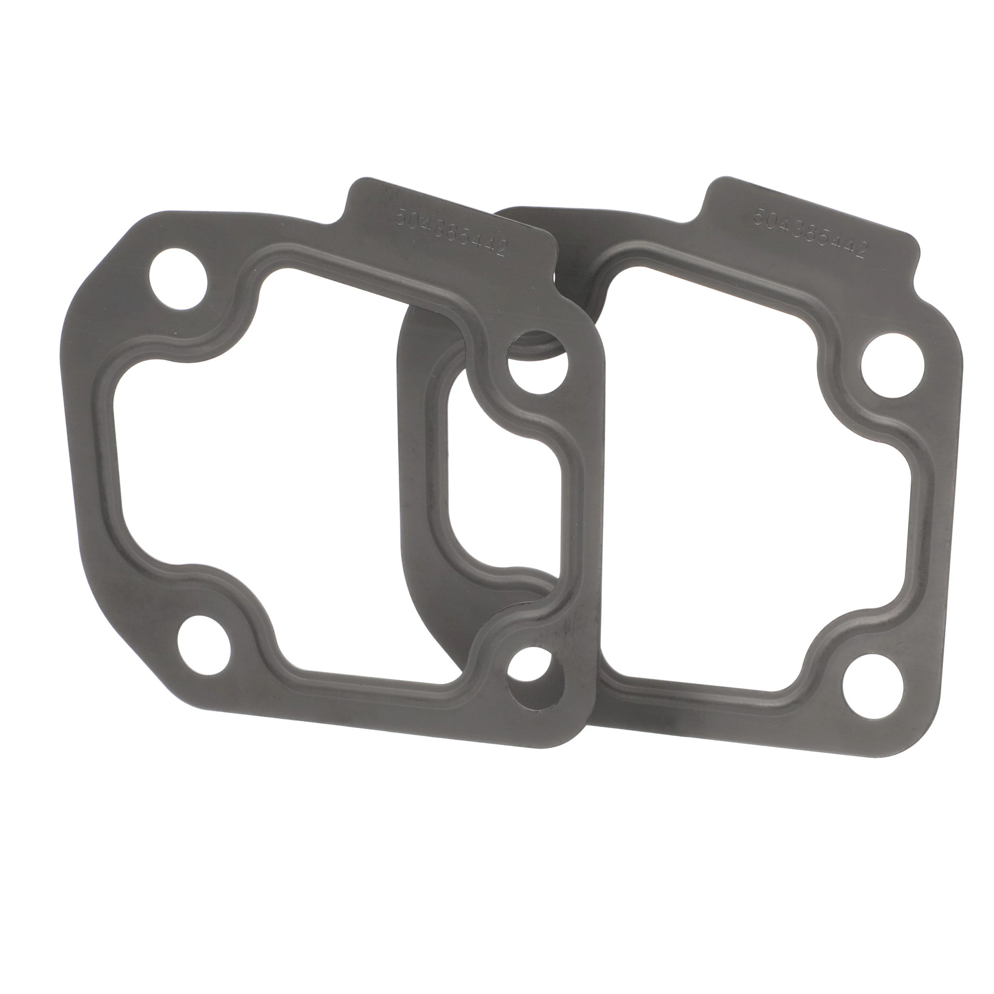 Gasket | CASECE | BR | PT