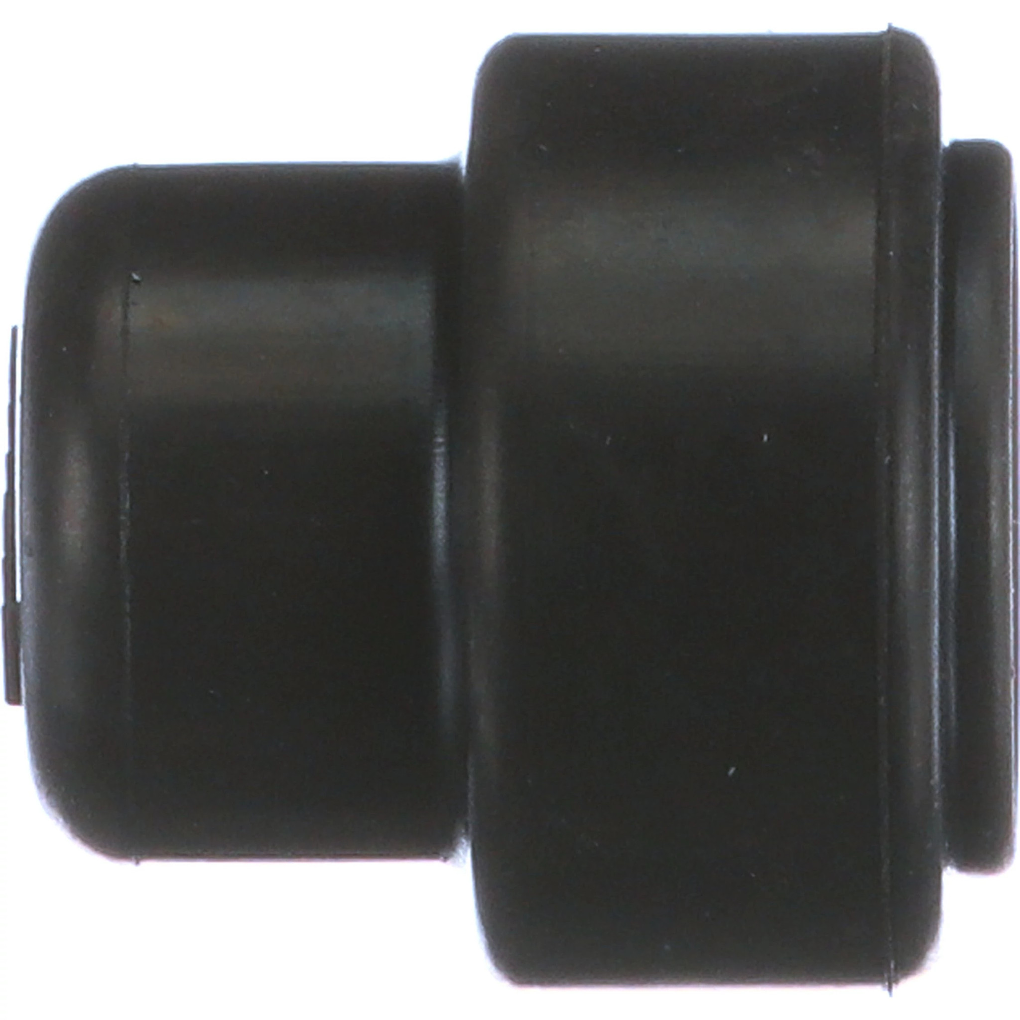 CAP | CASECE | EU | EN