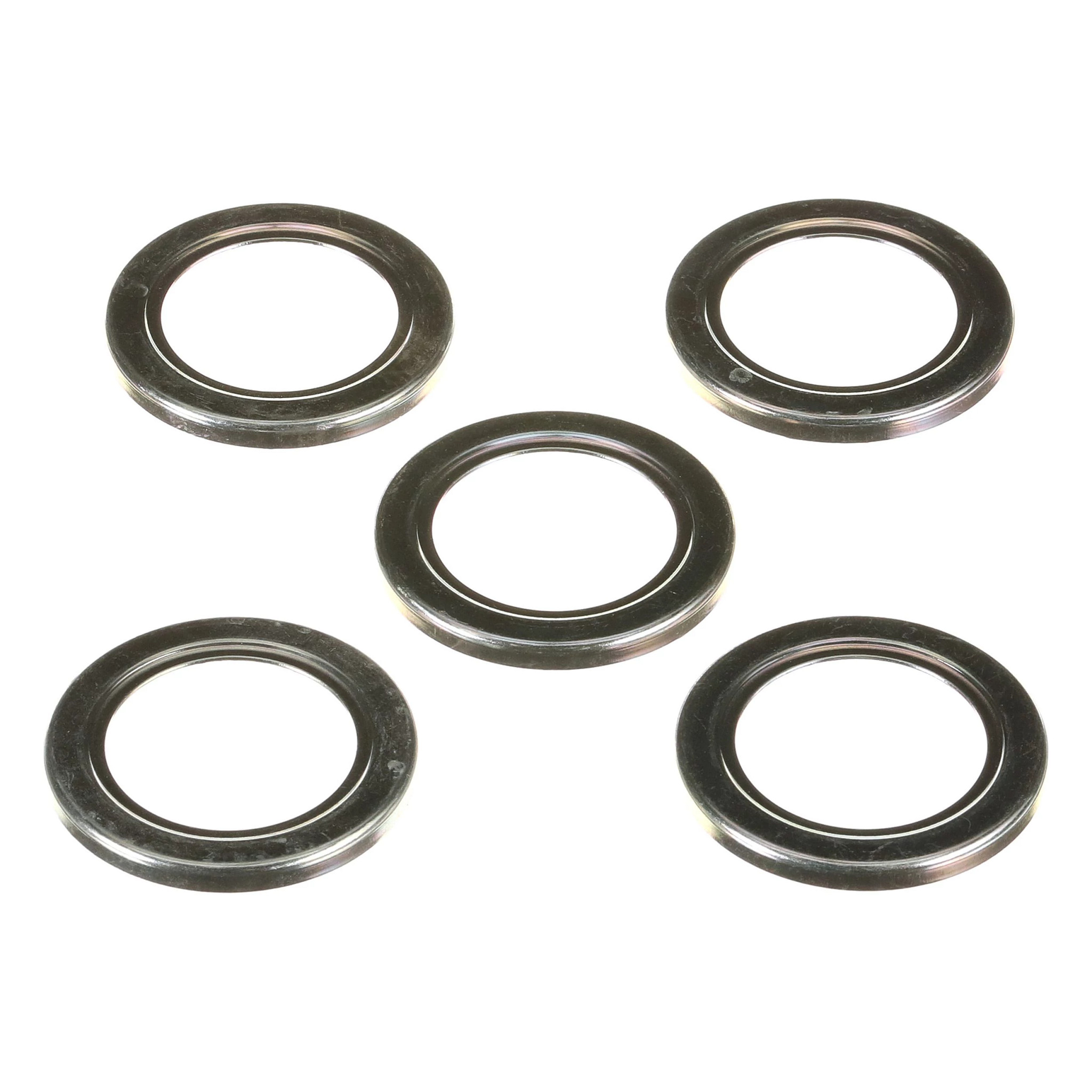 DICHTINGSBESCHERMING | CASEIH | EU | NL