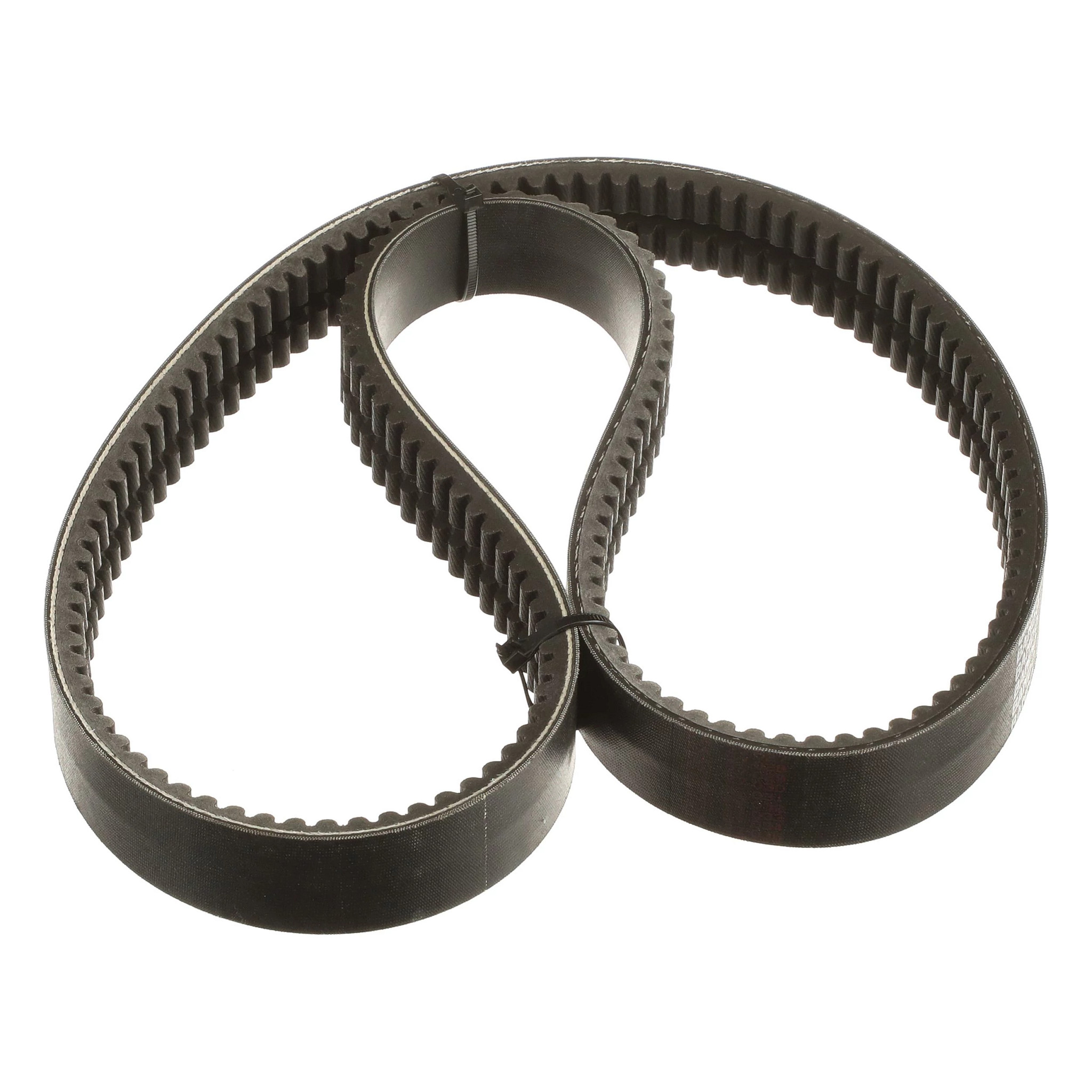 BELT | CASECE | US | EN