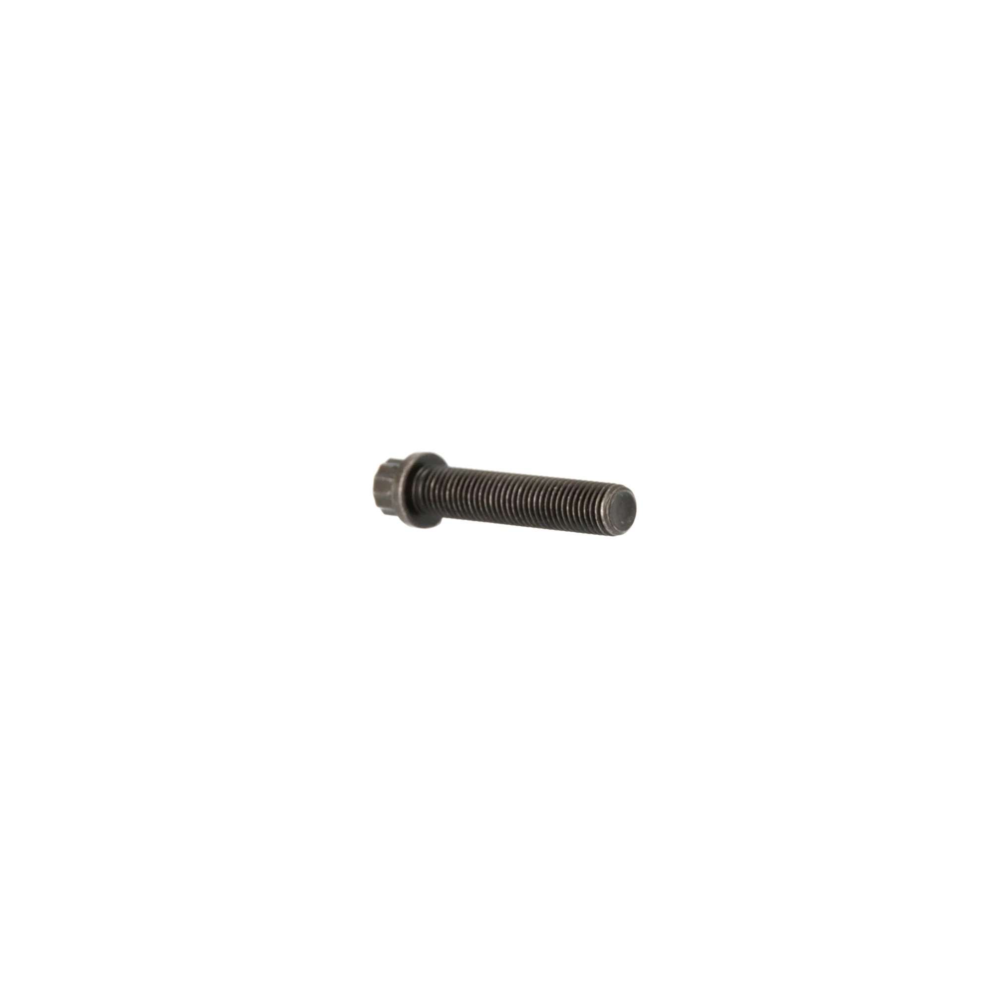 12 PT SCREW | CASEIH | US | EN