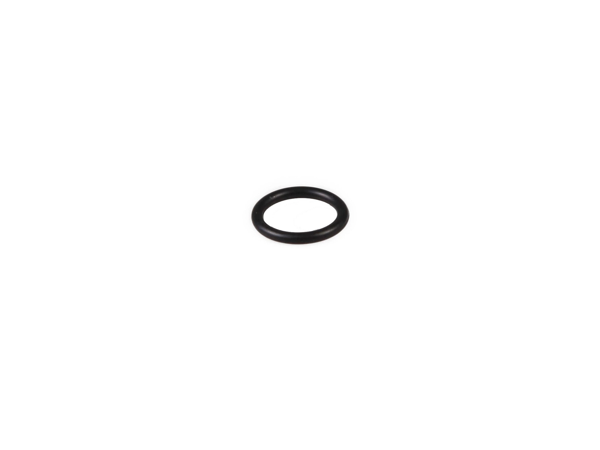 Sealing Ring | CASECE | CA | EN