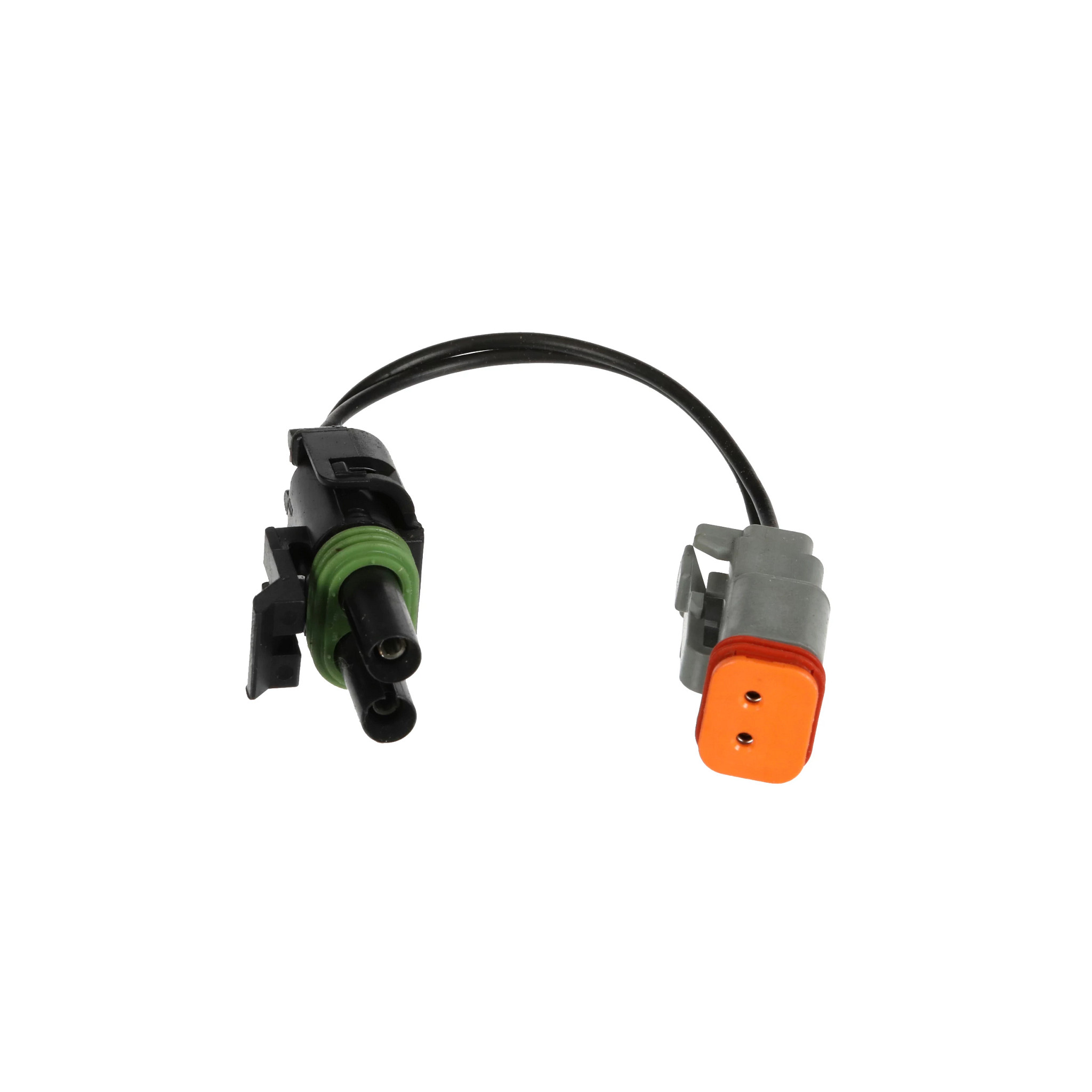 CHICOTE | CASECE | BR | PT