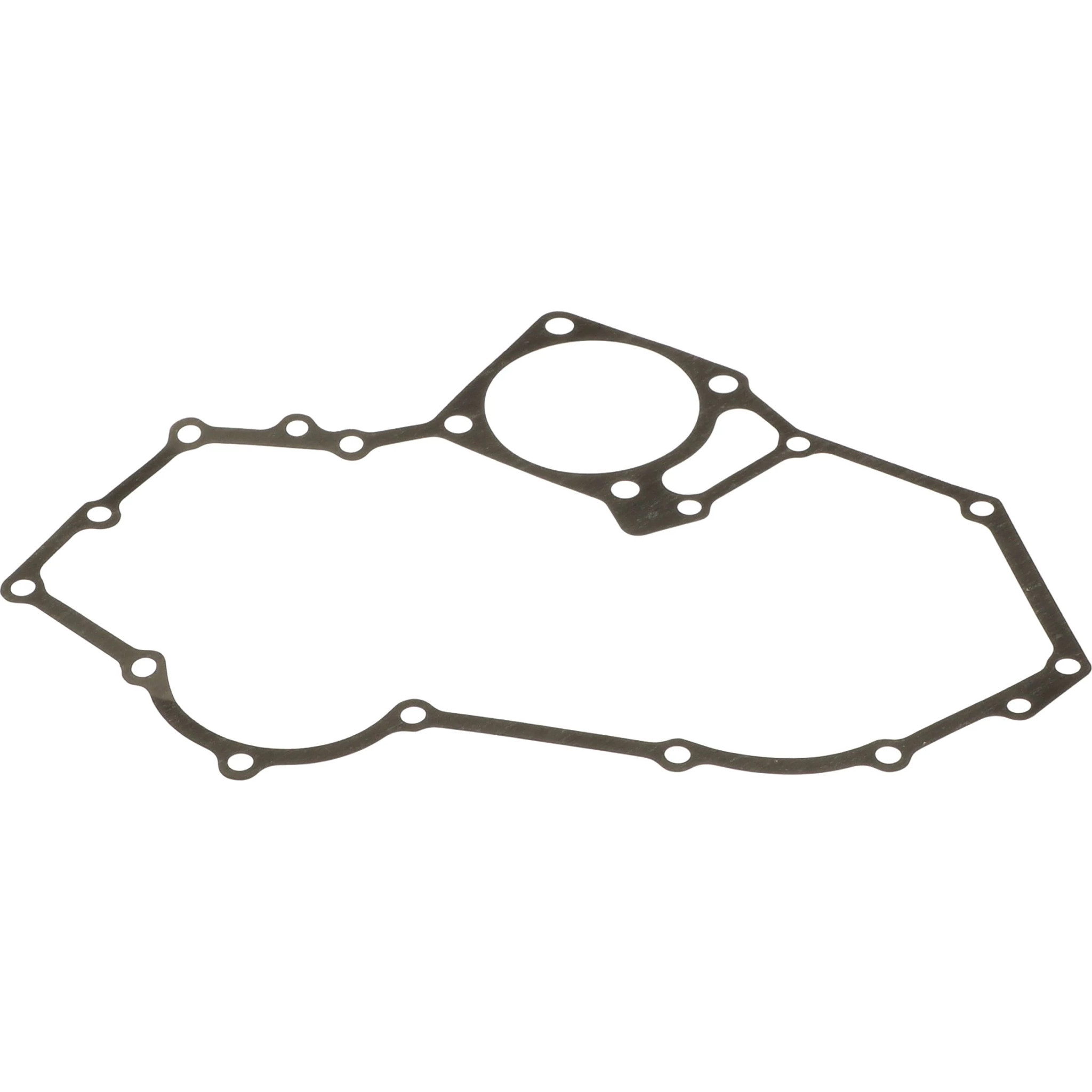 ПРОКЛАДКА | CASEIH | AMEA | RU