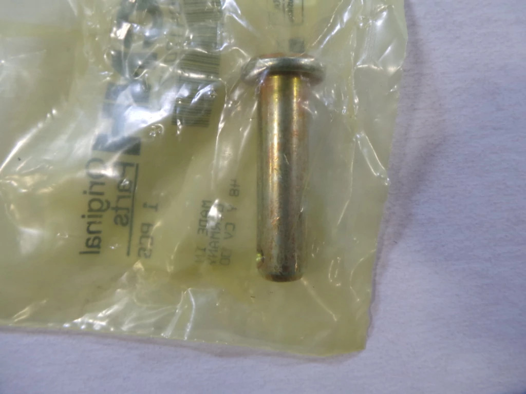 PINO | CASECE | EU | PT