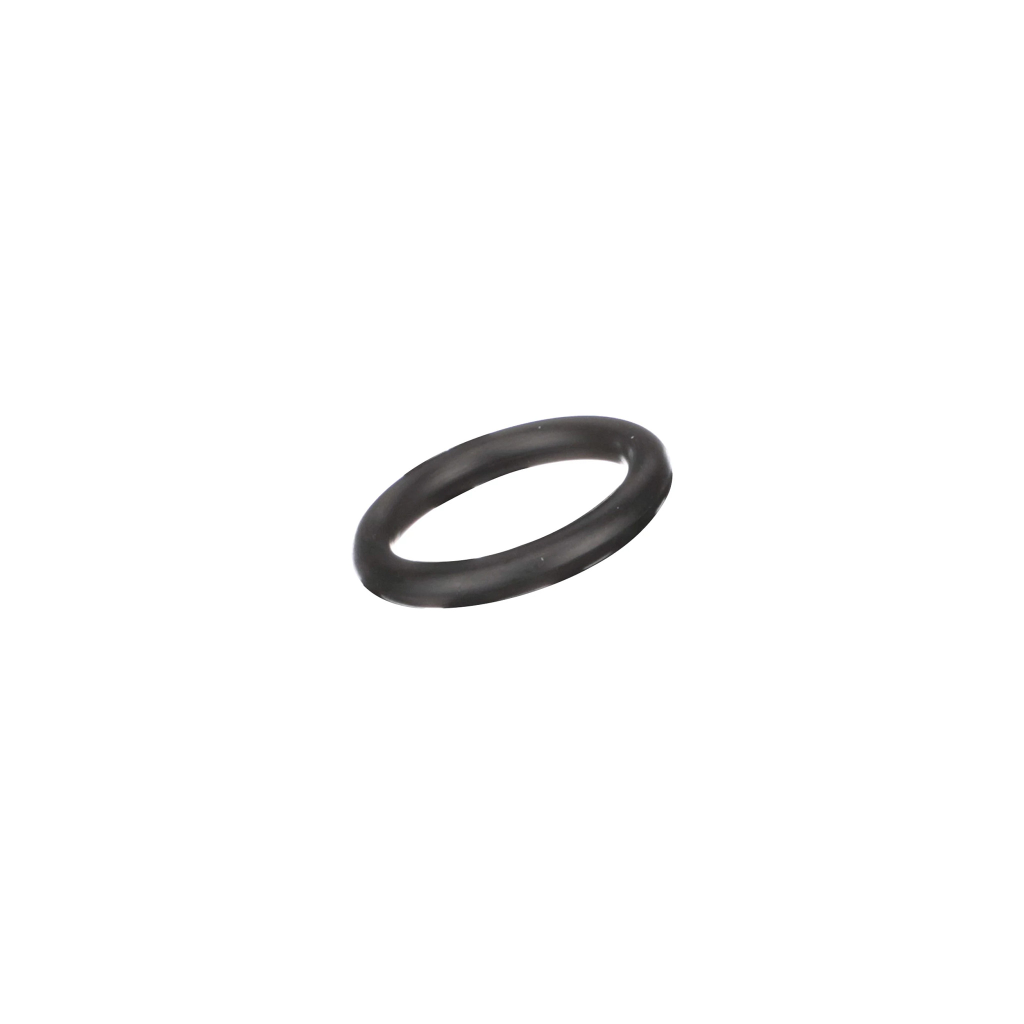 O-RING | CASECE | CA | EN