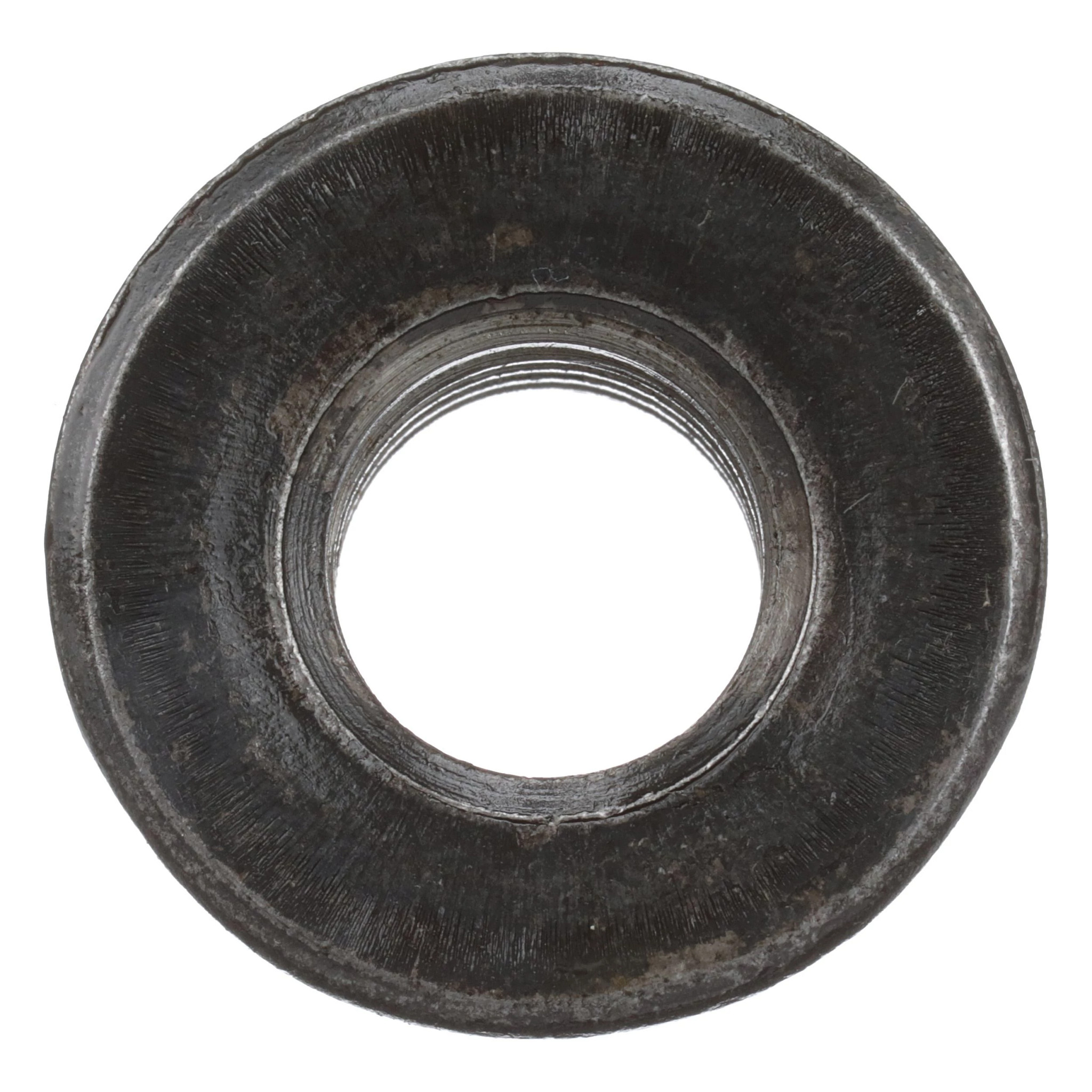 NUT | CASECE | ANZ | EN