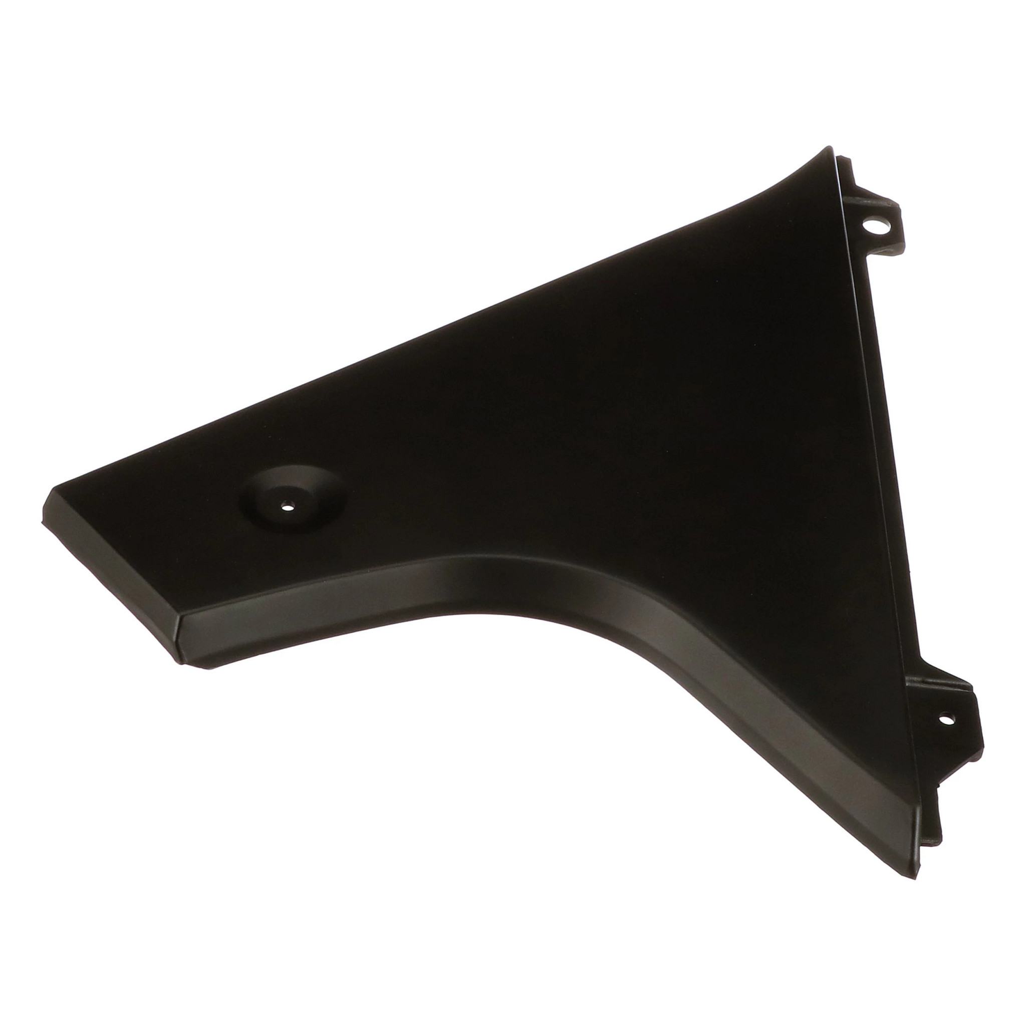 PANEL | CASECE | AMEA | EN