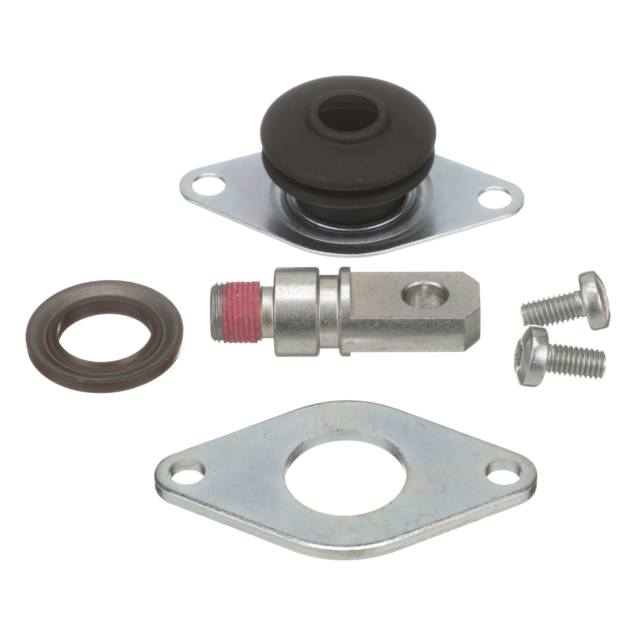 KİT | CASECE | AMEA | FR