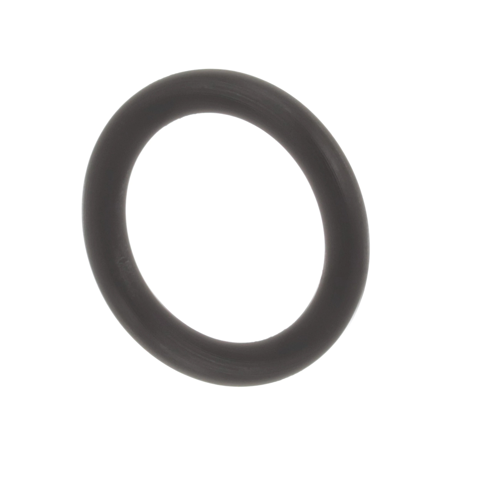 Hydraulic Motor O-Ring | CASECE | BR | PT