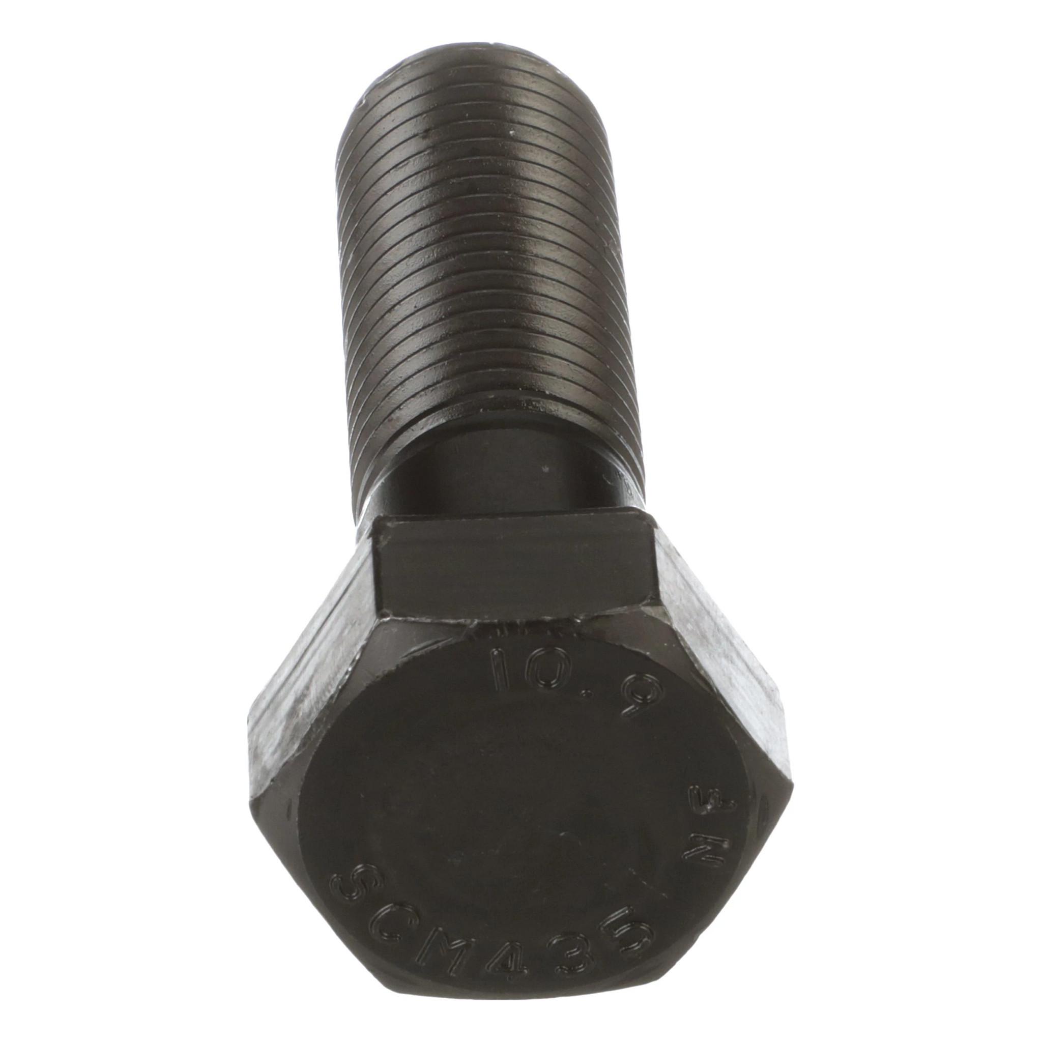 BOLT | CASECE | US | EN