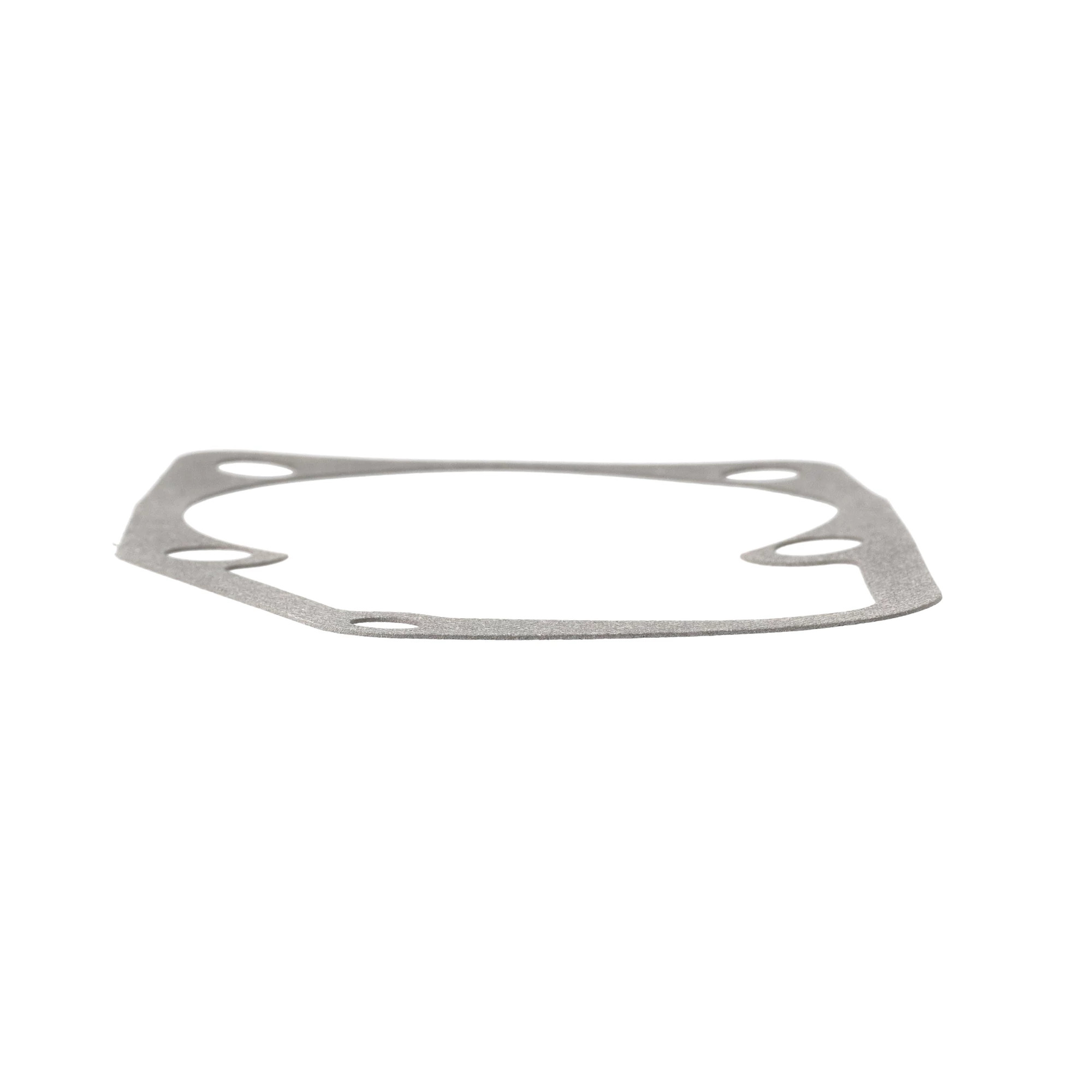 GUARNIZIONE | CASECE | EU | IT