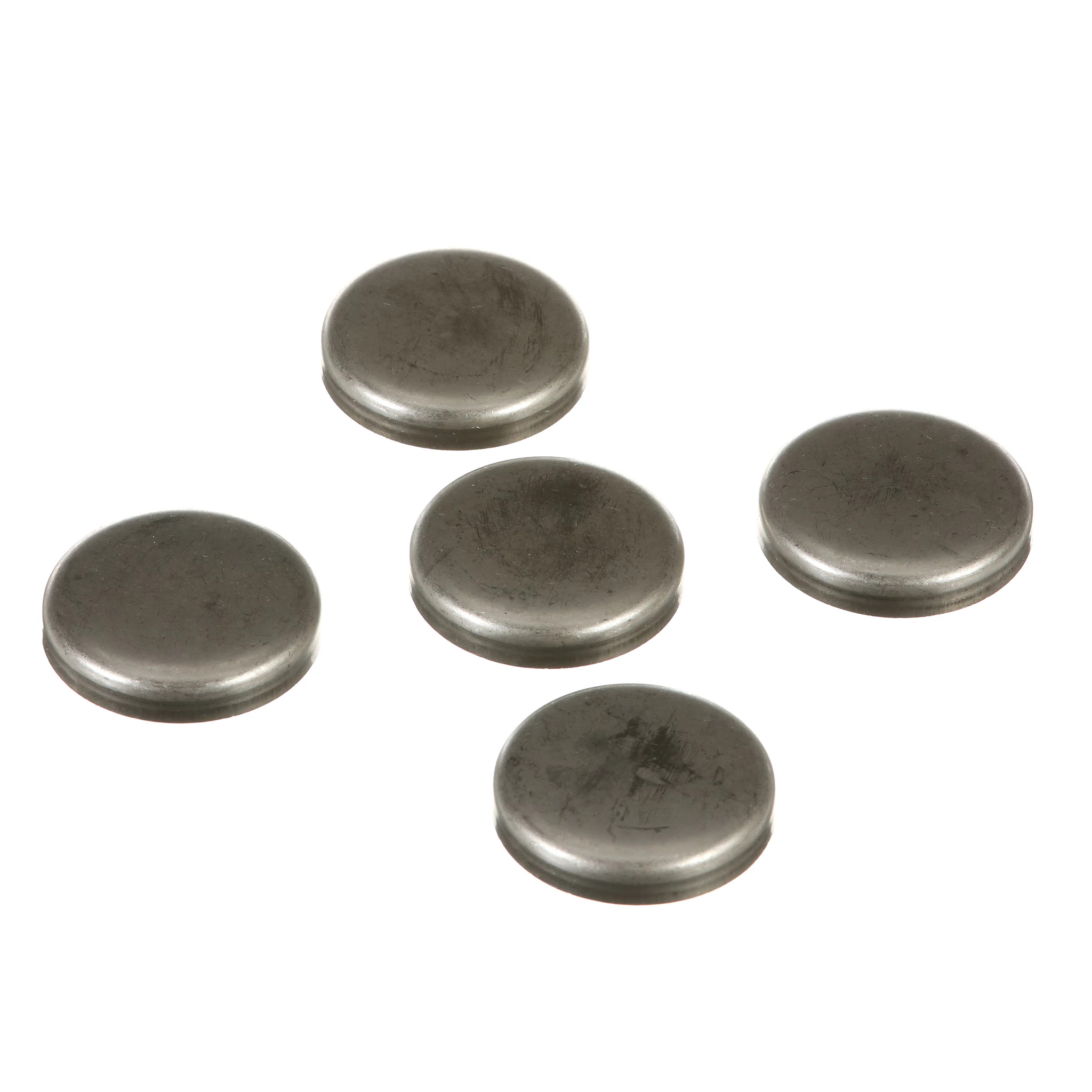 BUJÃO | CASECE | BR | PT