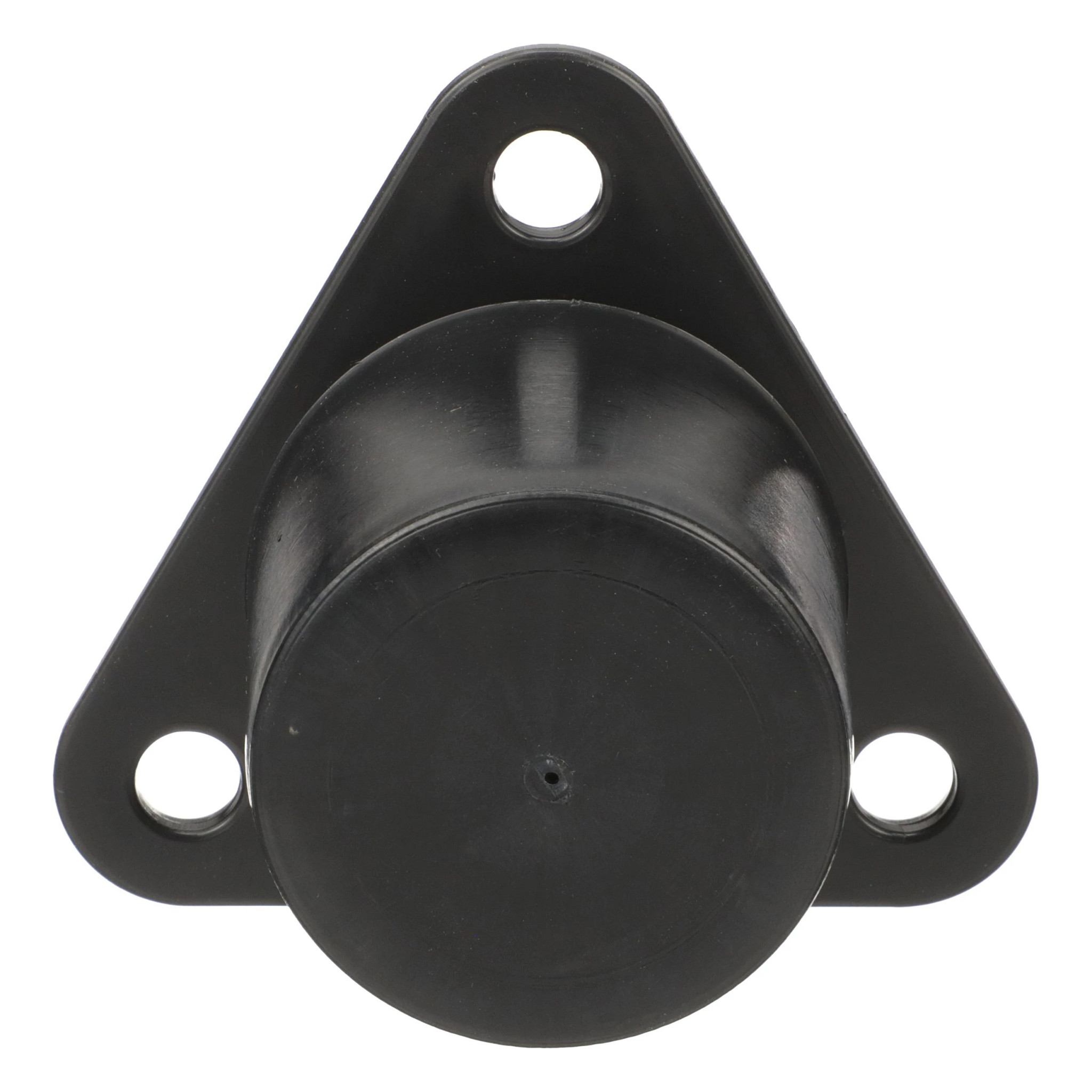 BEARING COVER | CASEIH | AU | EN