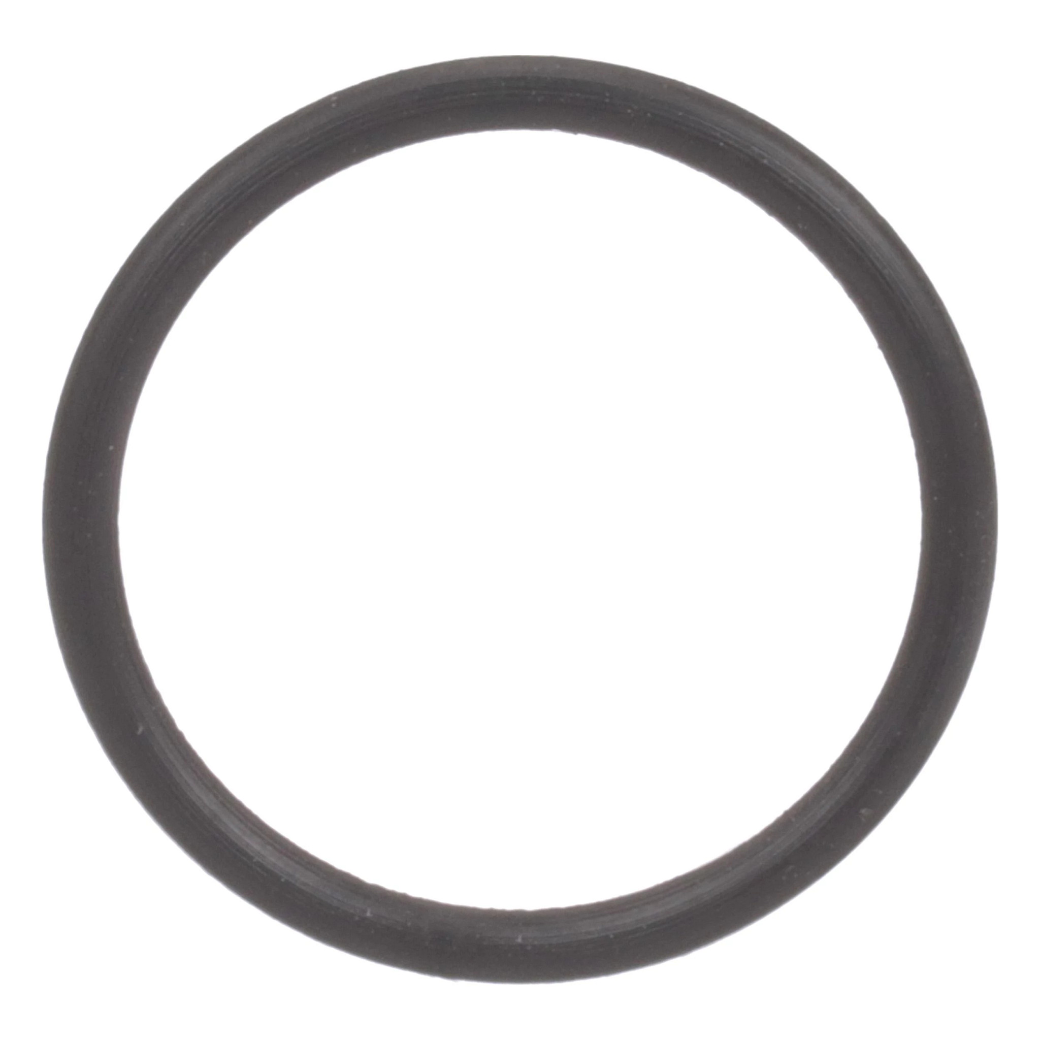 O-RING | CASEIH | AMEA | EN