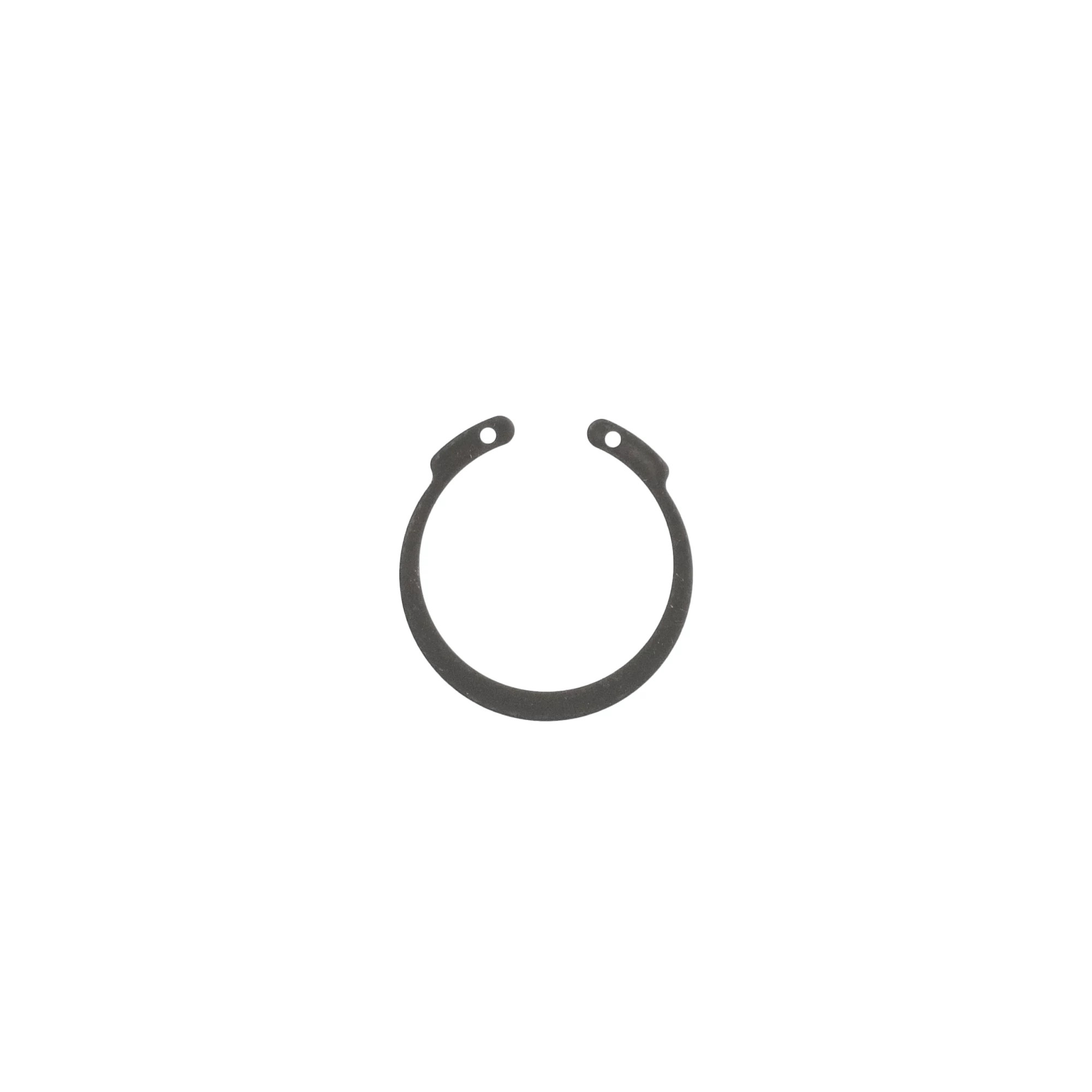 SICHERUNGSRING | CASEIH | EU | DE