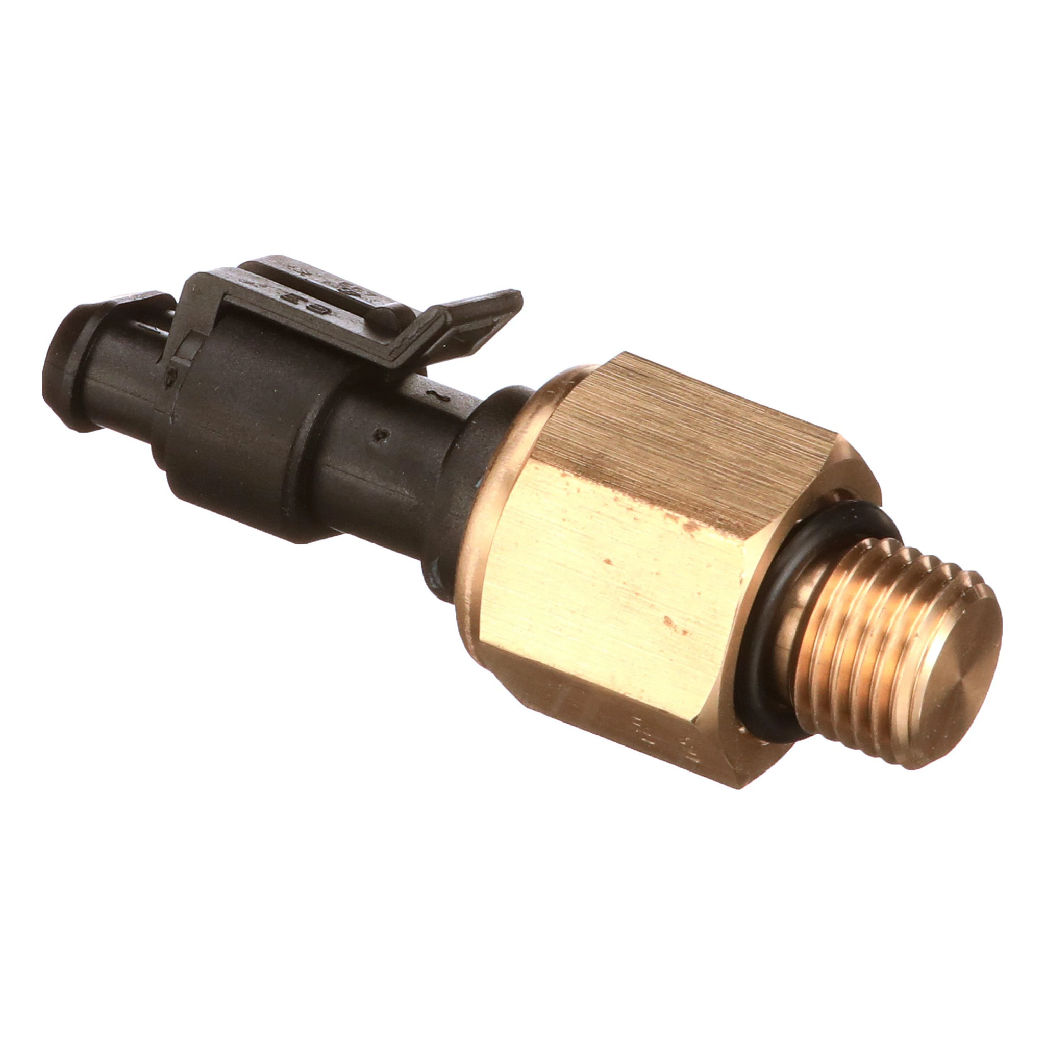 SONDA | CASEIH | EU | PT