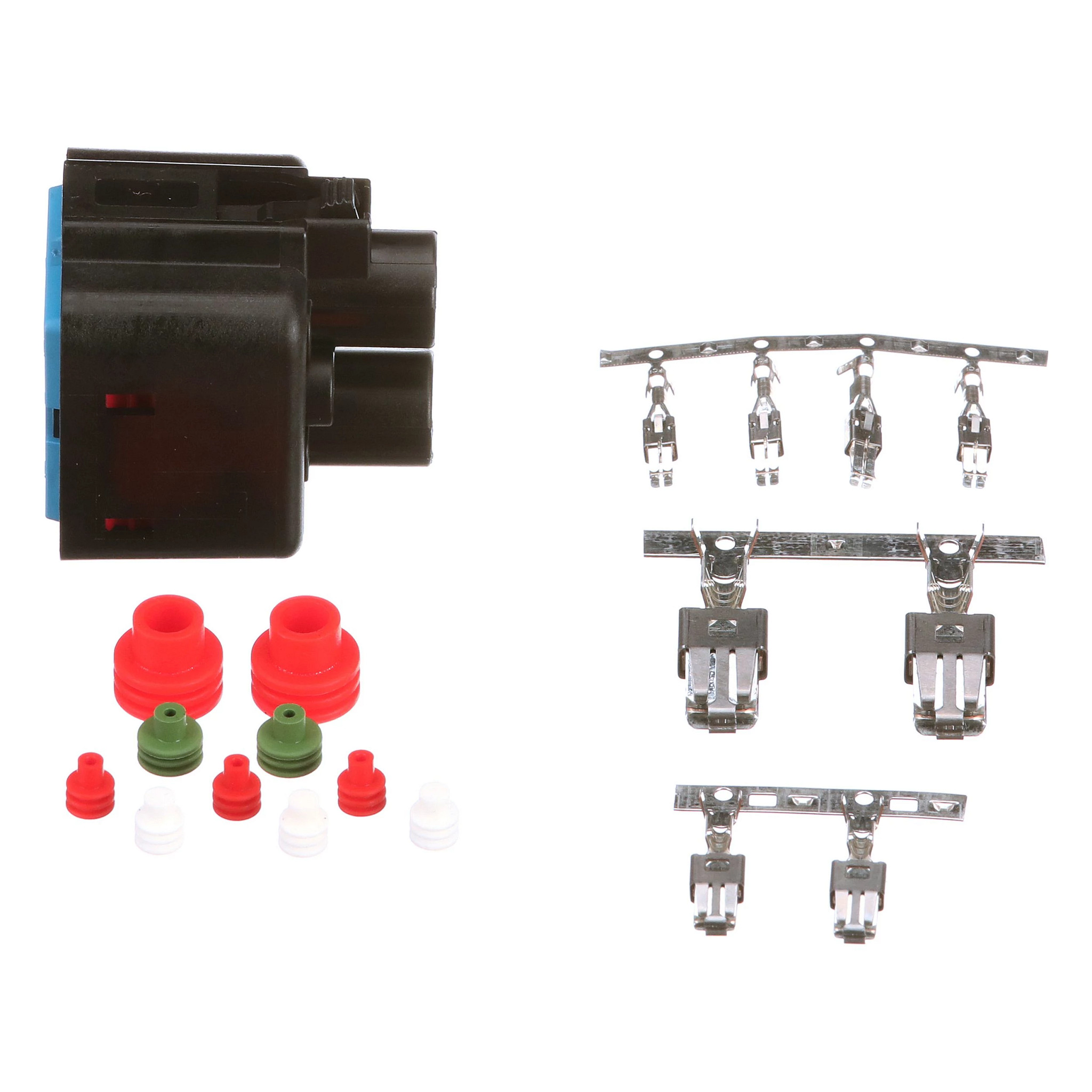 SOCKET | CASECE | CA | EN