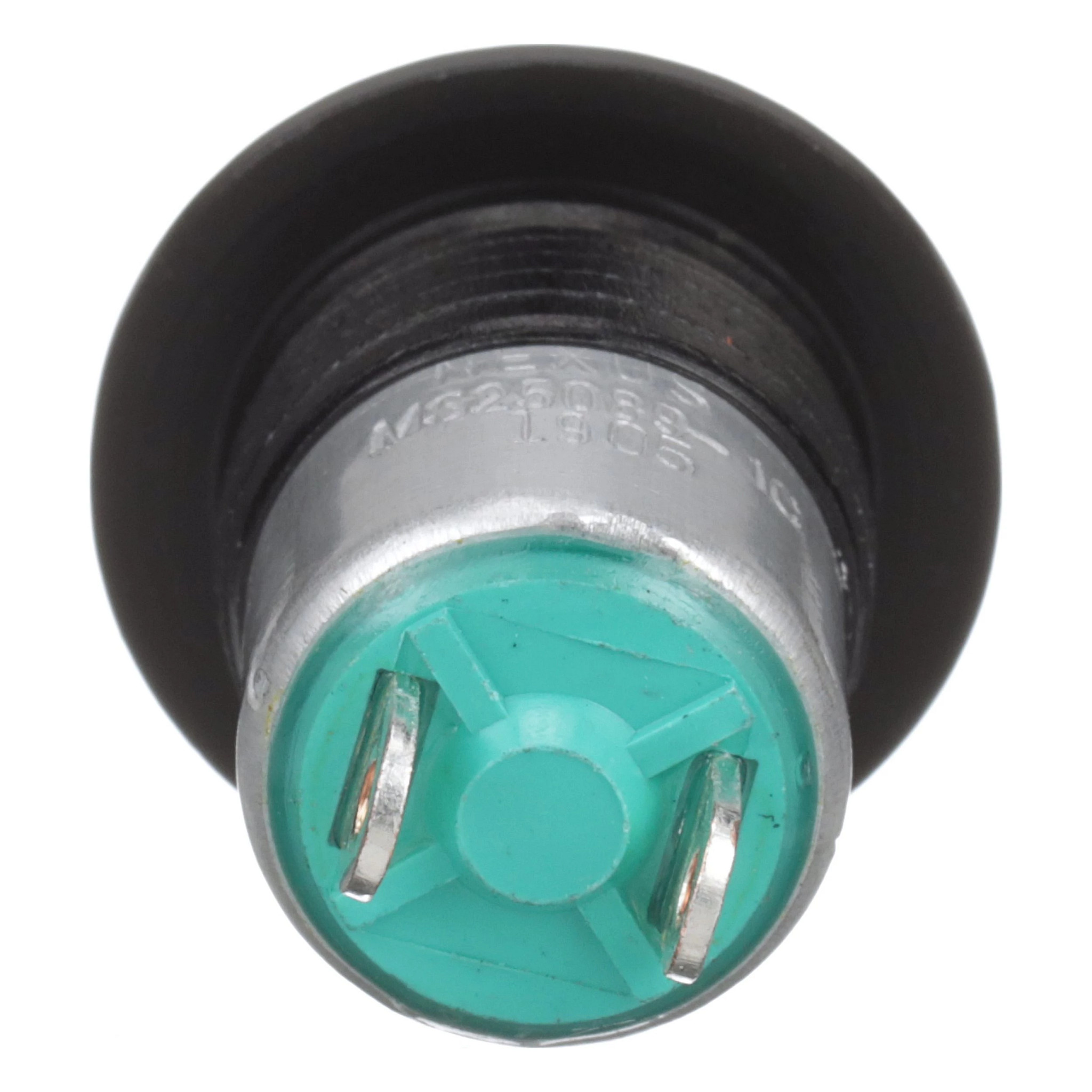 BASMA DÜĞMESİ | CASEIH | AMEA | TR