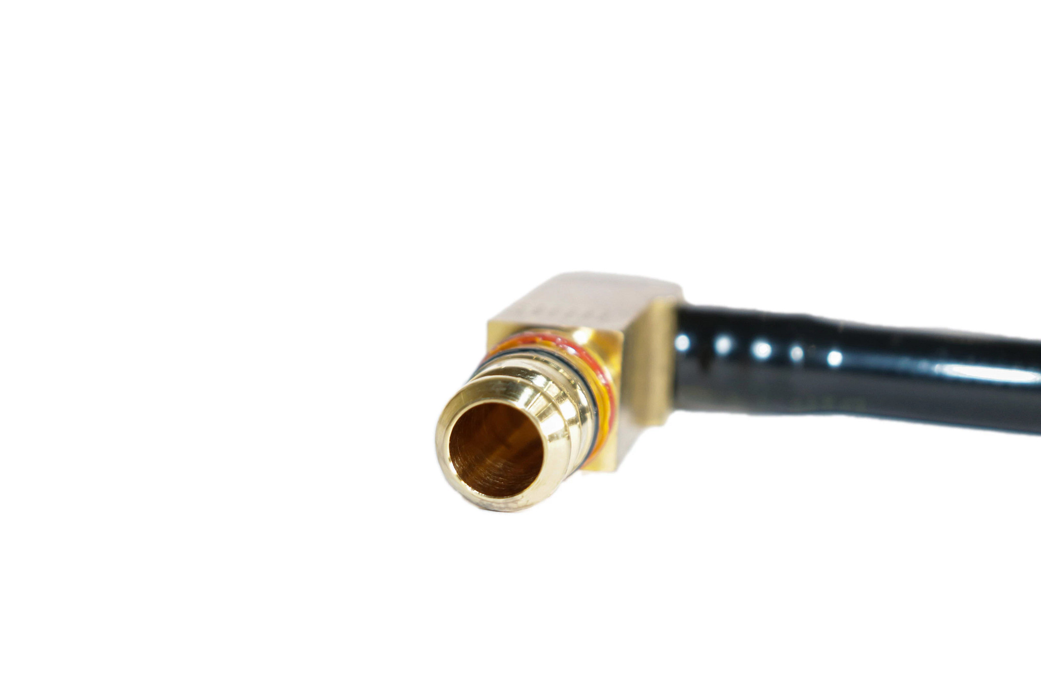 MANGUEIRA | CASECE | EU | PT