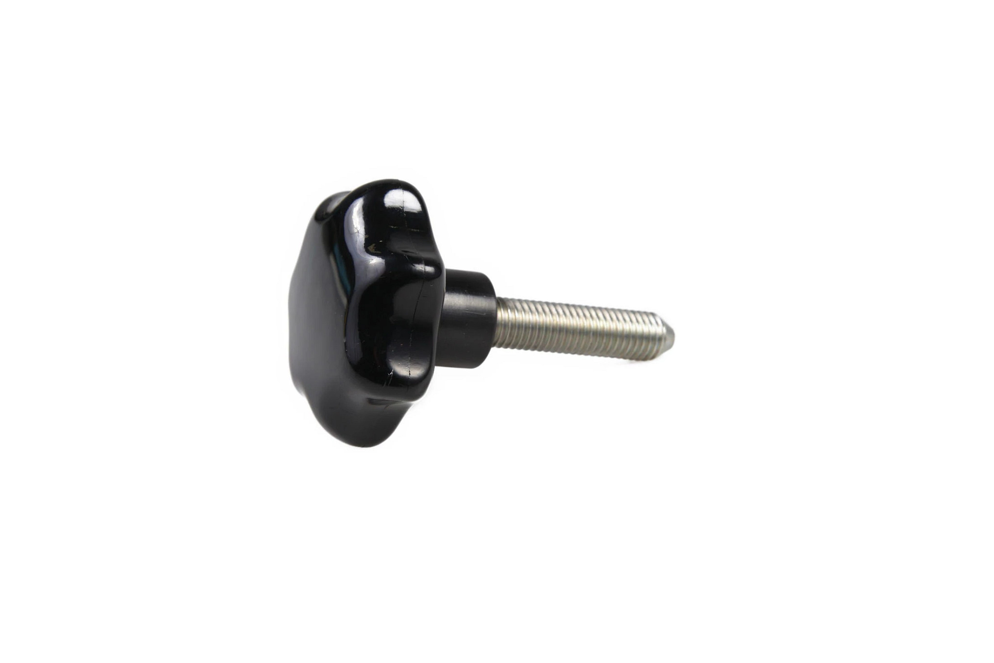 MANECILLA | CASECE | SA | EN