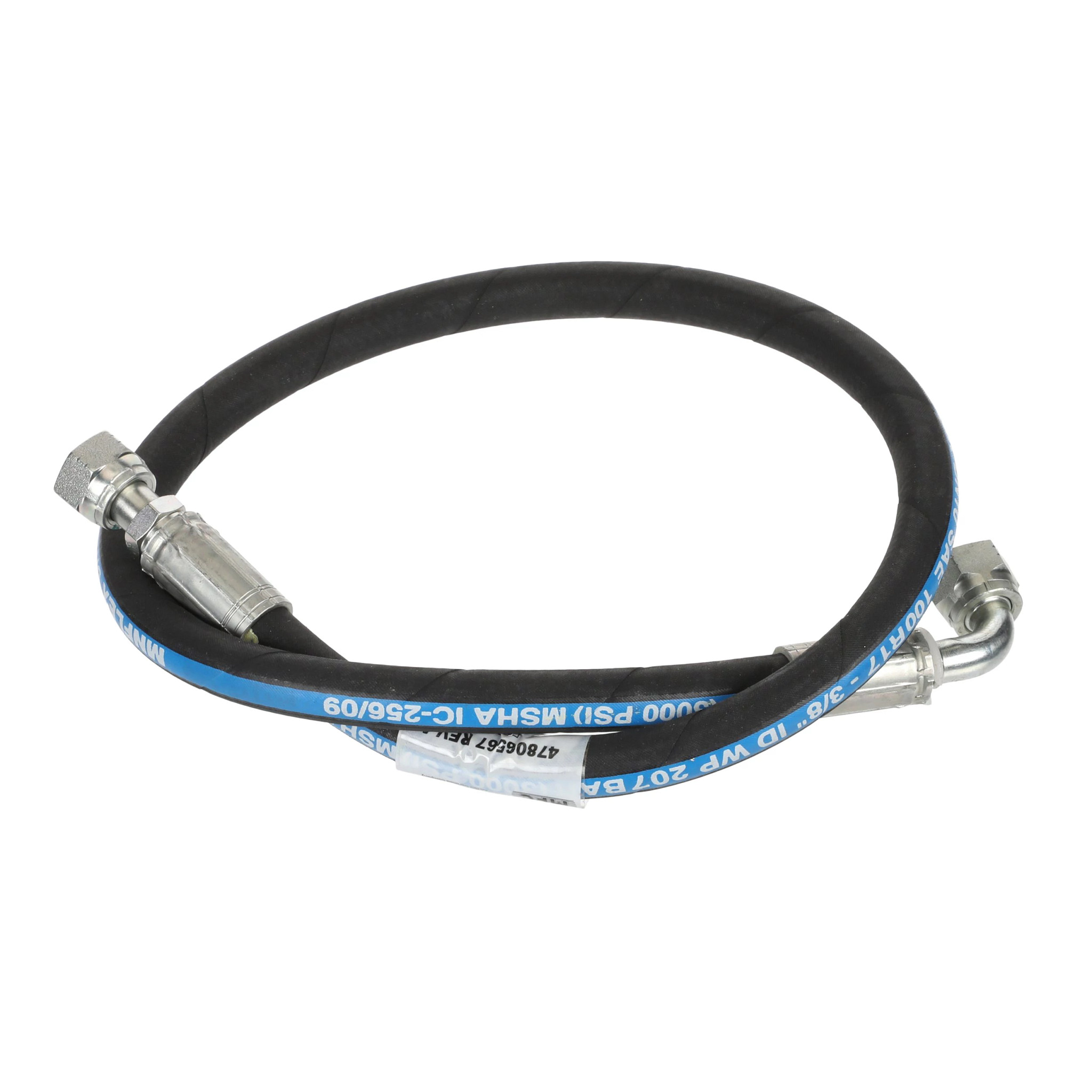 MANGUEIRA | CASEIH | BR | PT