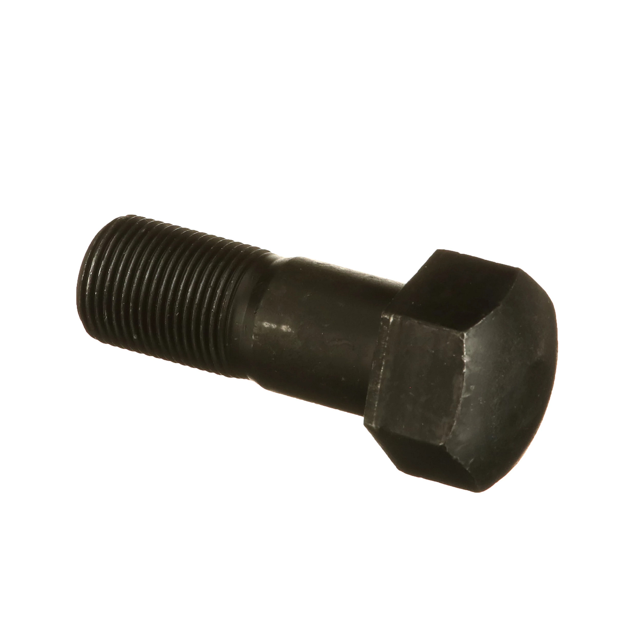 Parafuso | CASECE | BR | PT